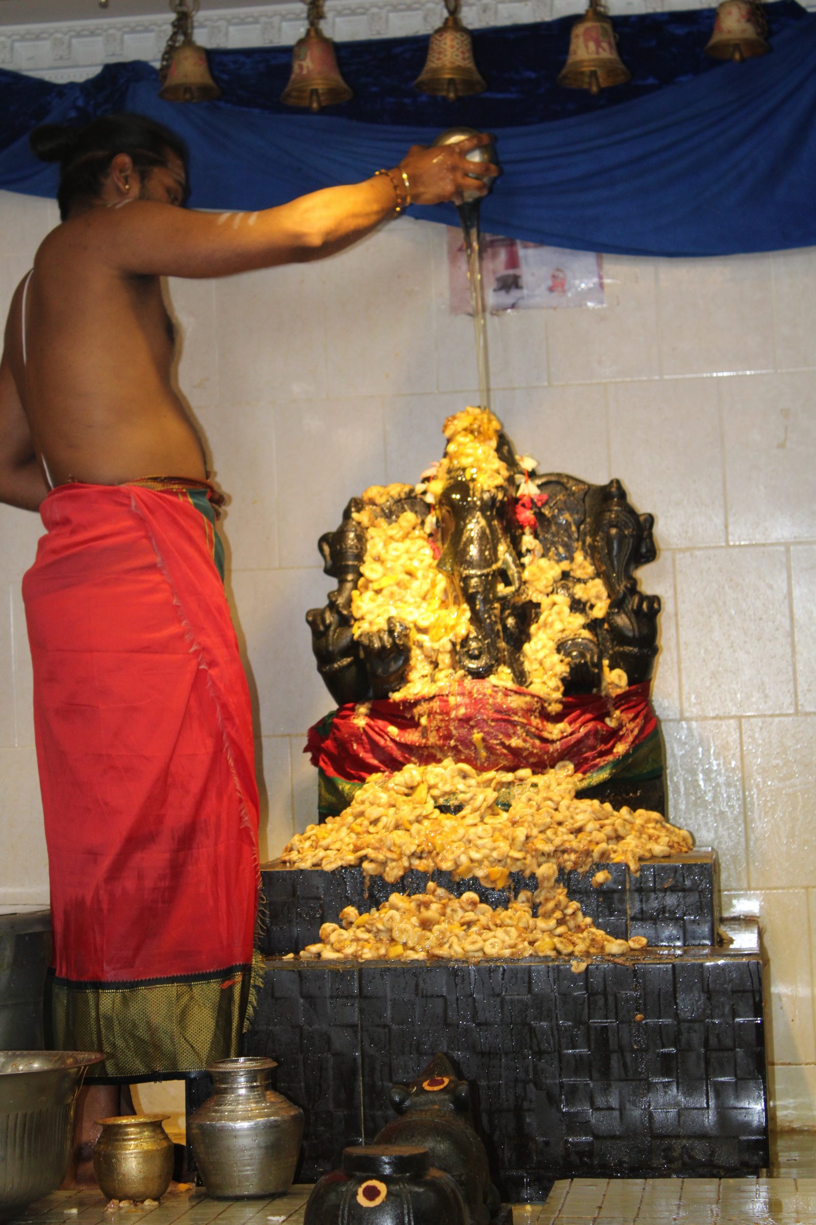 Festival 2024 photo