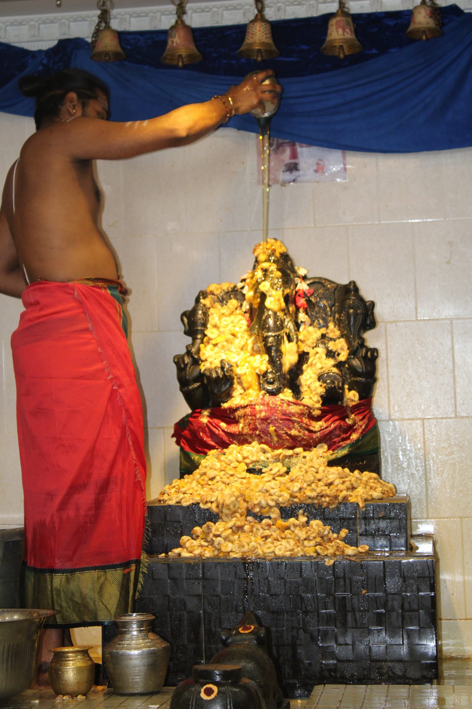 Festival 2024 photo