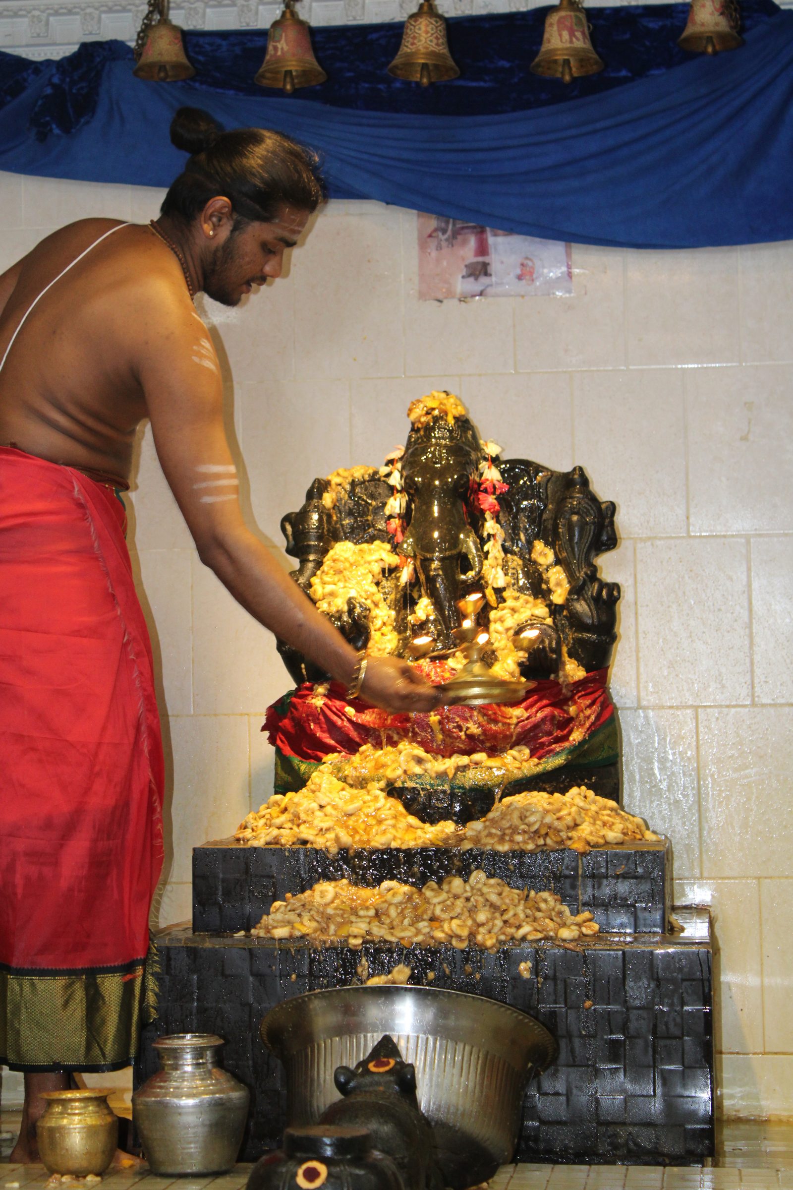 Festival 2024 photo