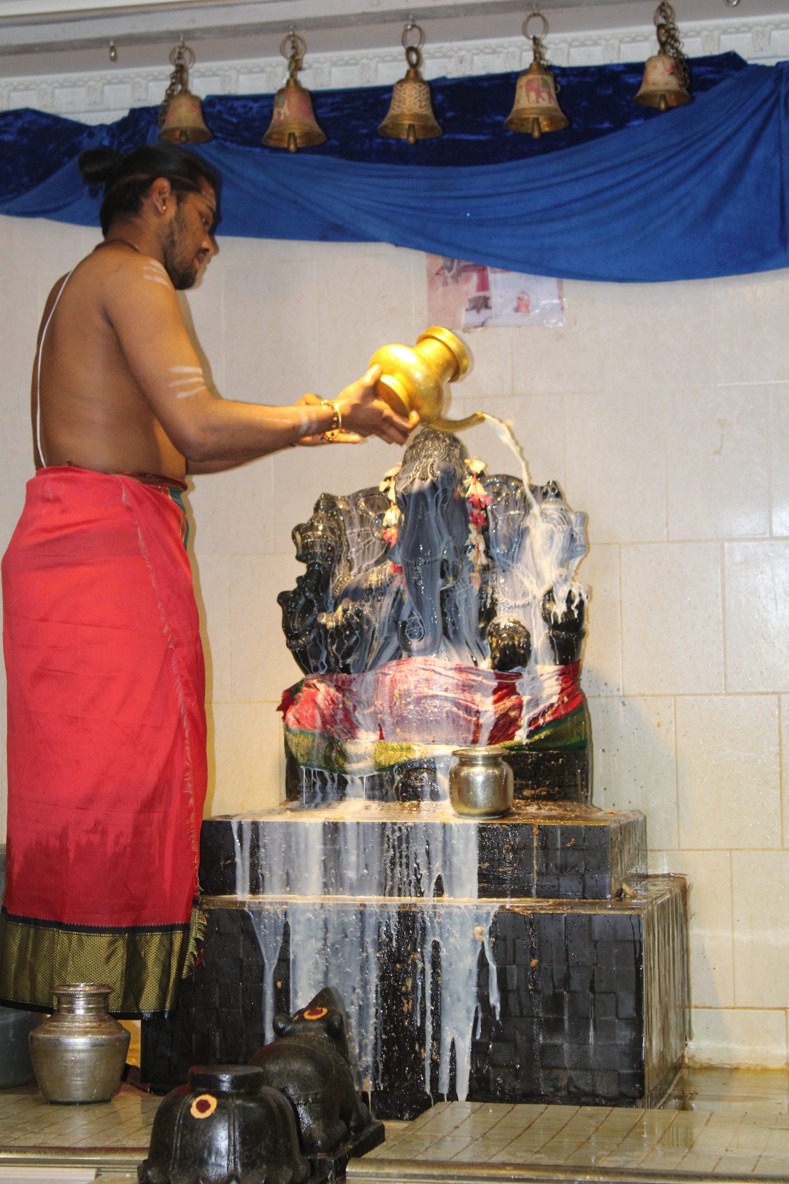 Festival 2024 photo