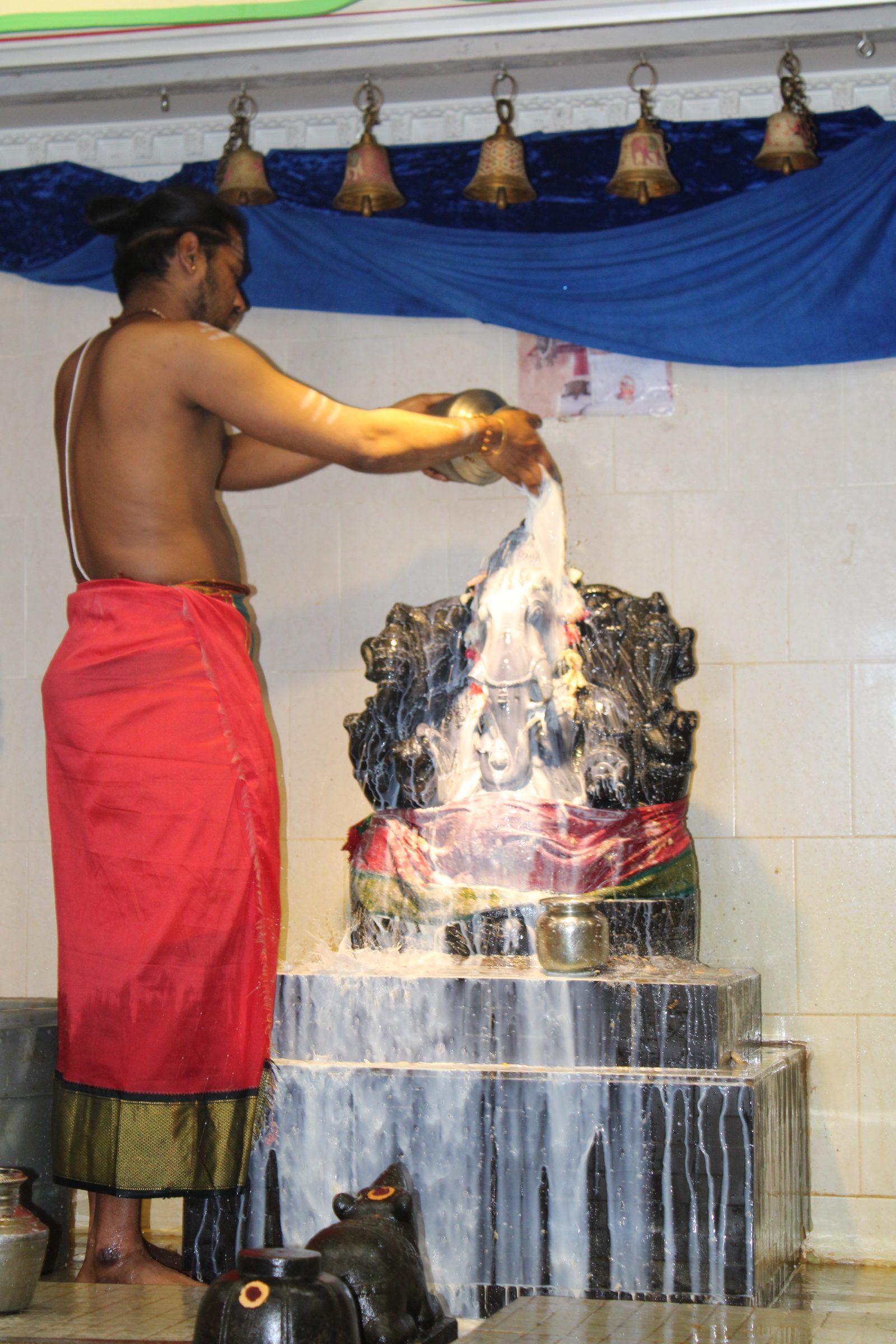 Festival 2024 photo