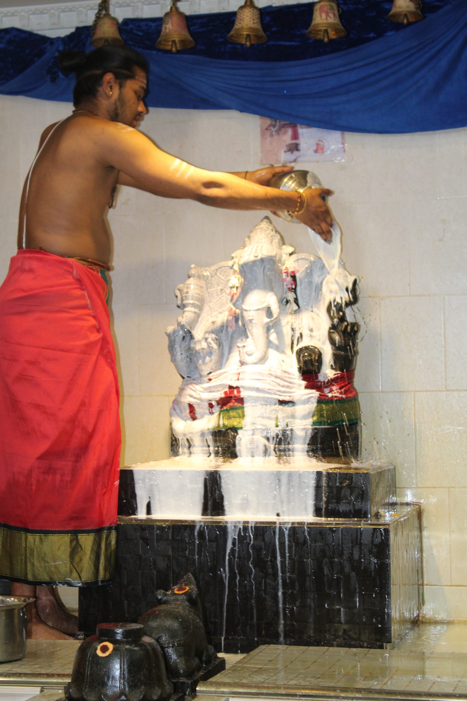 Festival 2024 photo