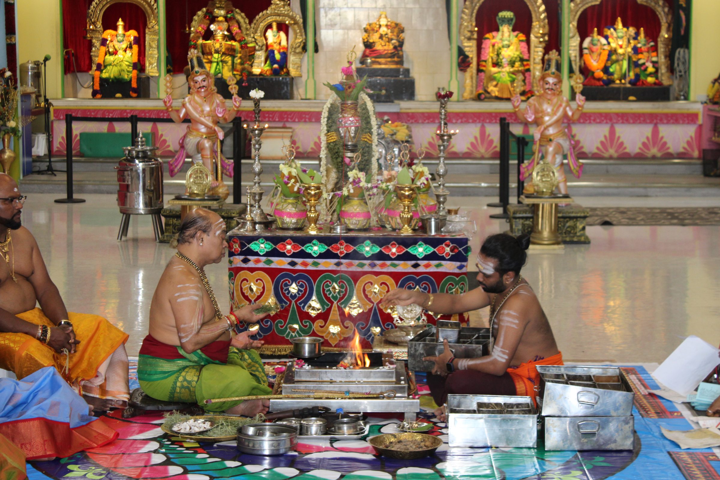 Festival 2024 photo