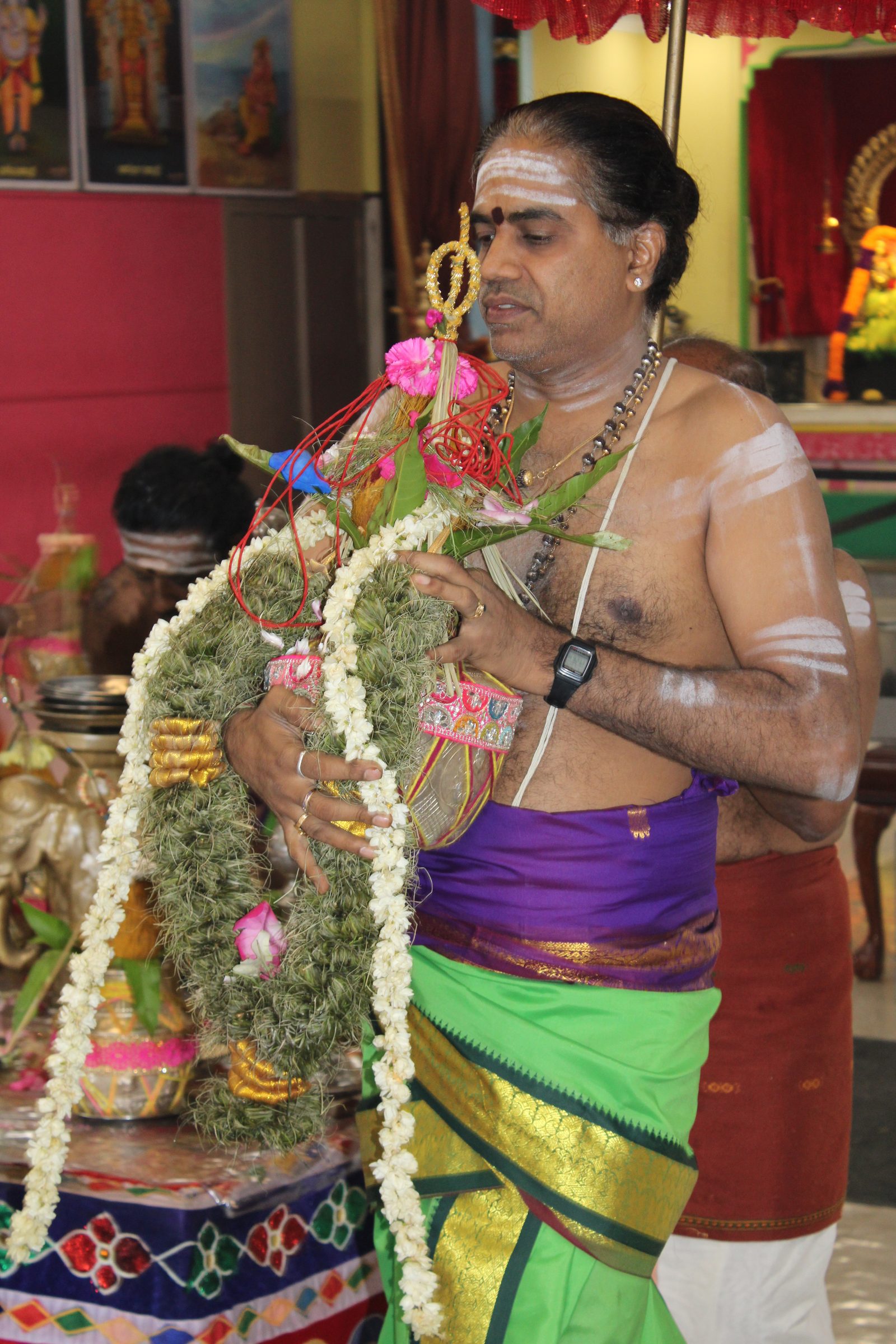 Festival 2024 photo