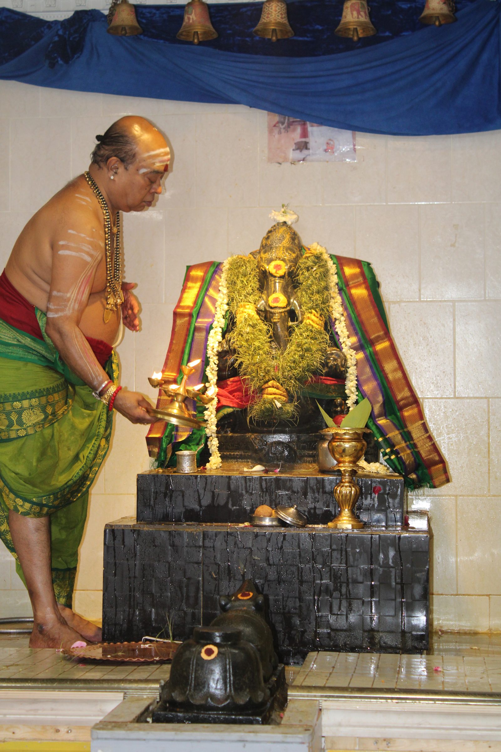 Festival 2024 photo