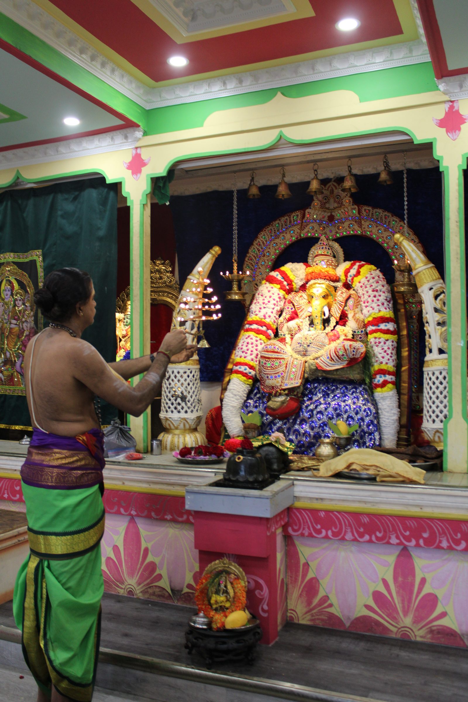 Festival 2024 photo