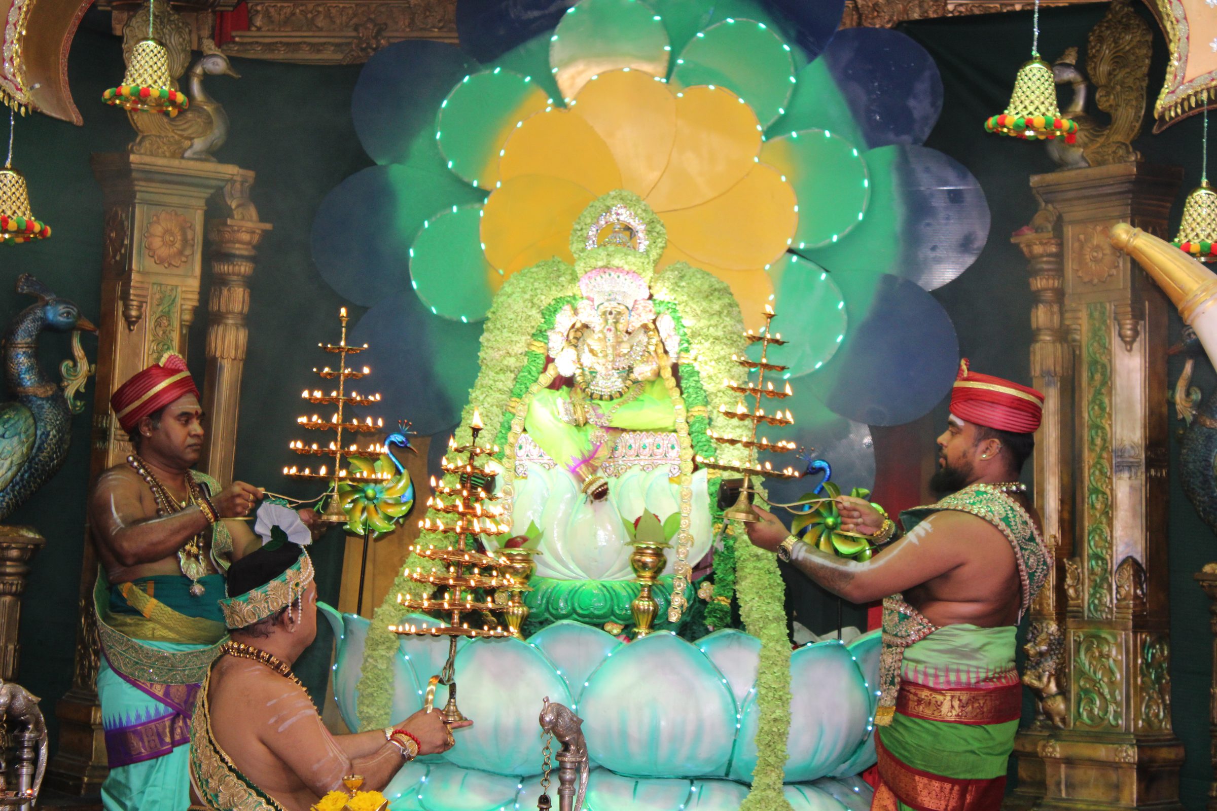 Festival 2024 photo