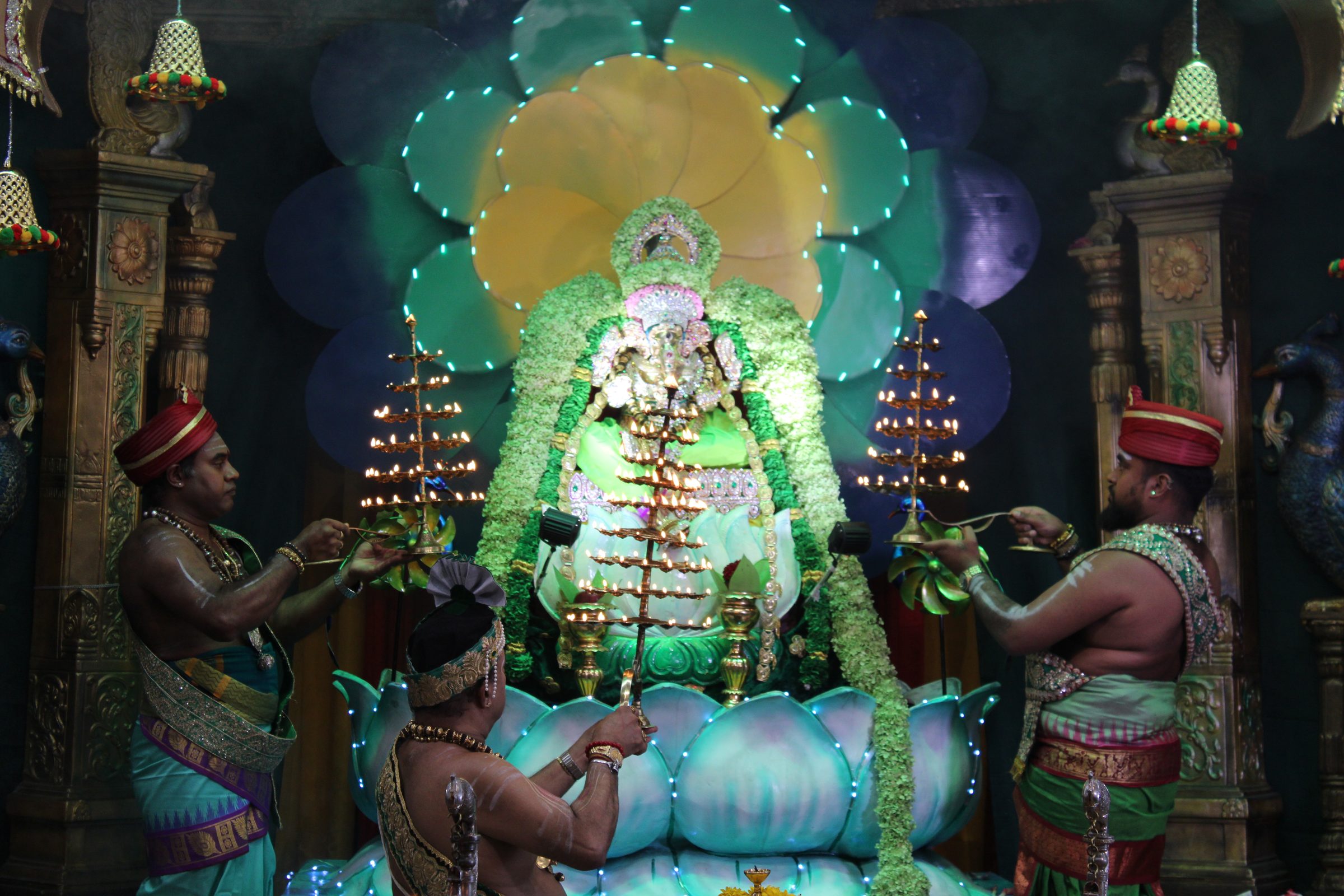 Festival 2024 photo