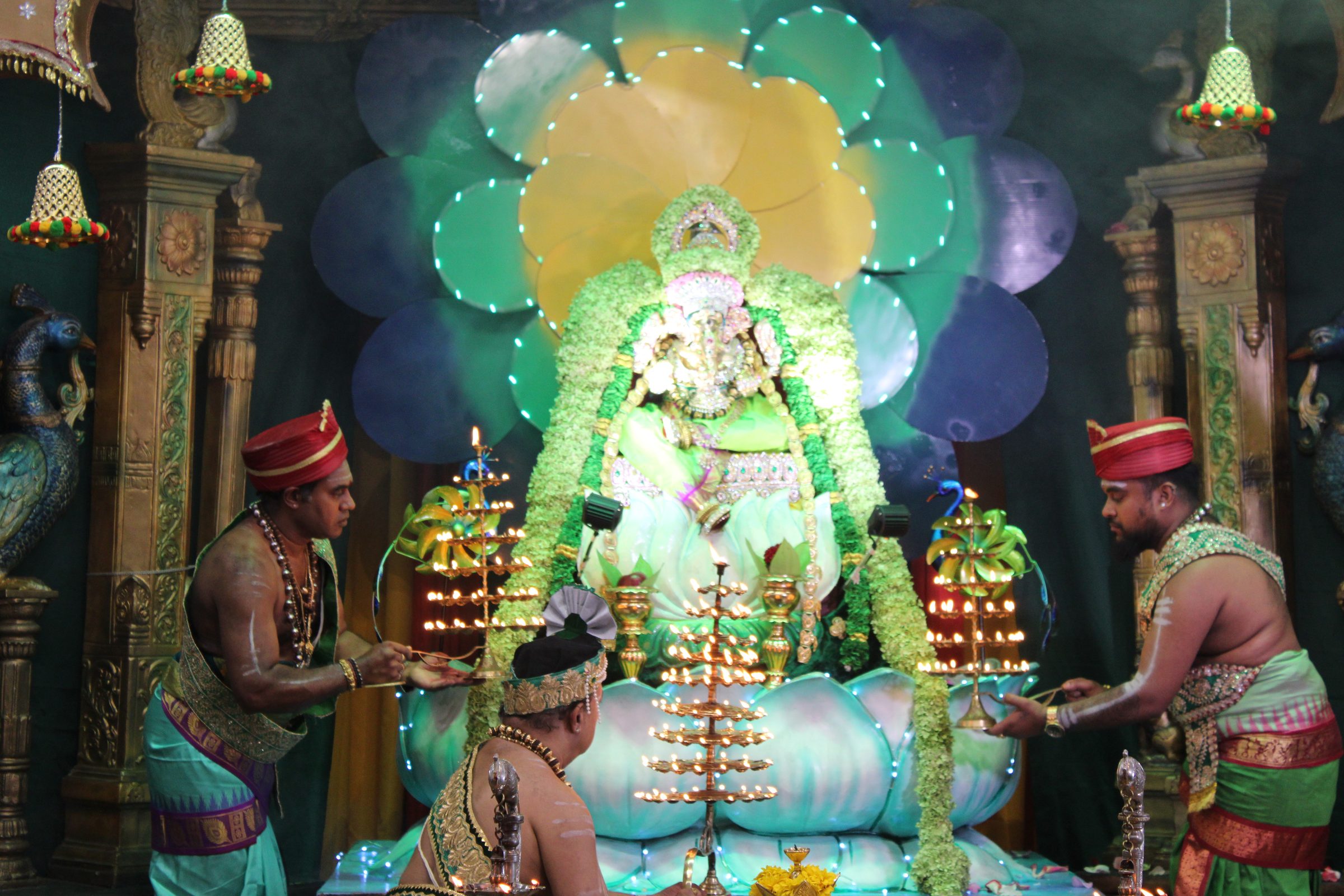 Festival 2024 photo