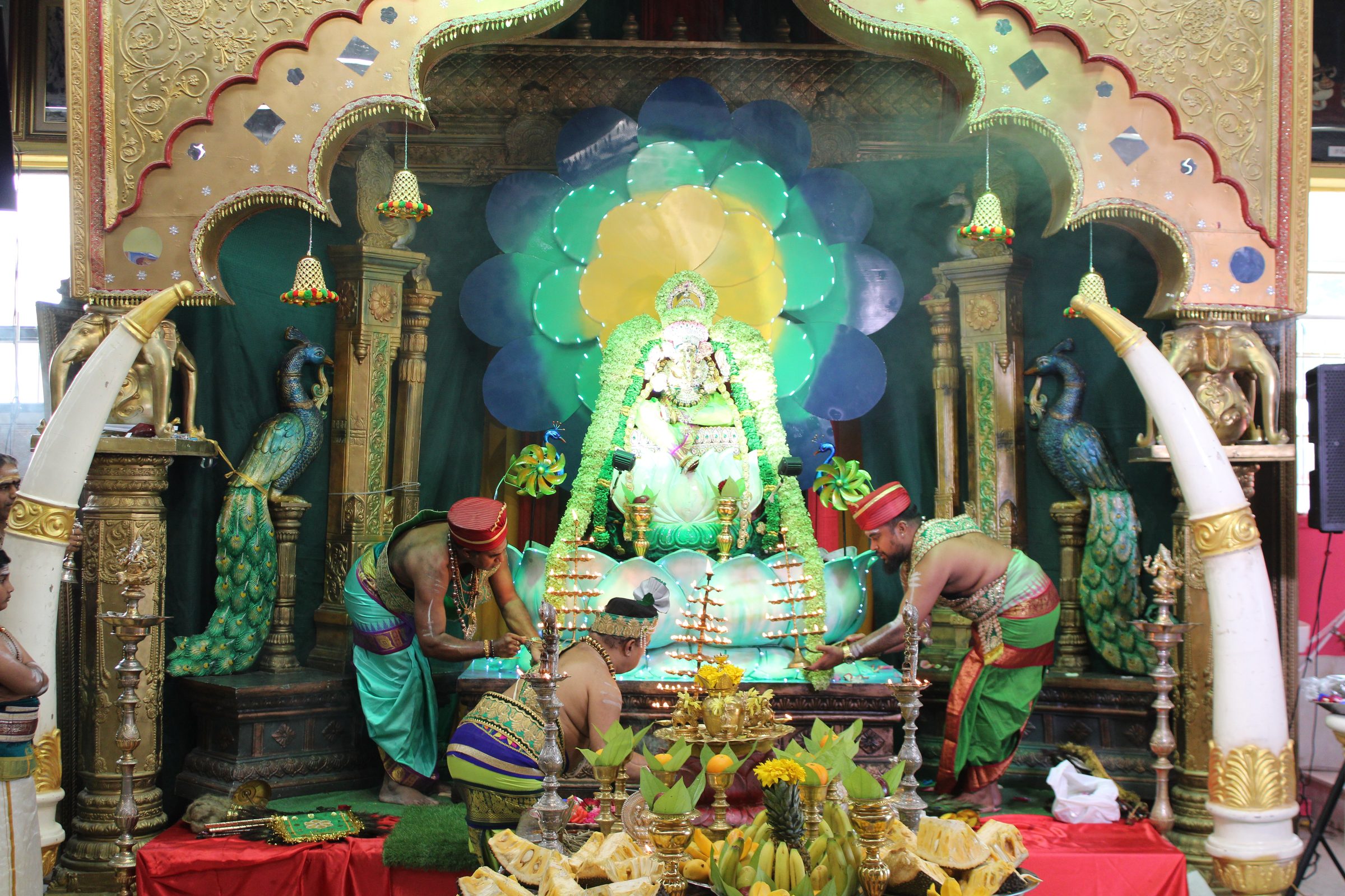 Festival 2024 photo
