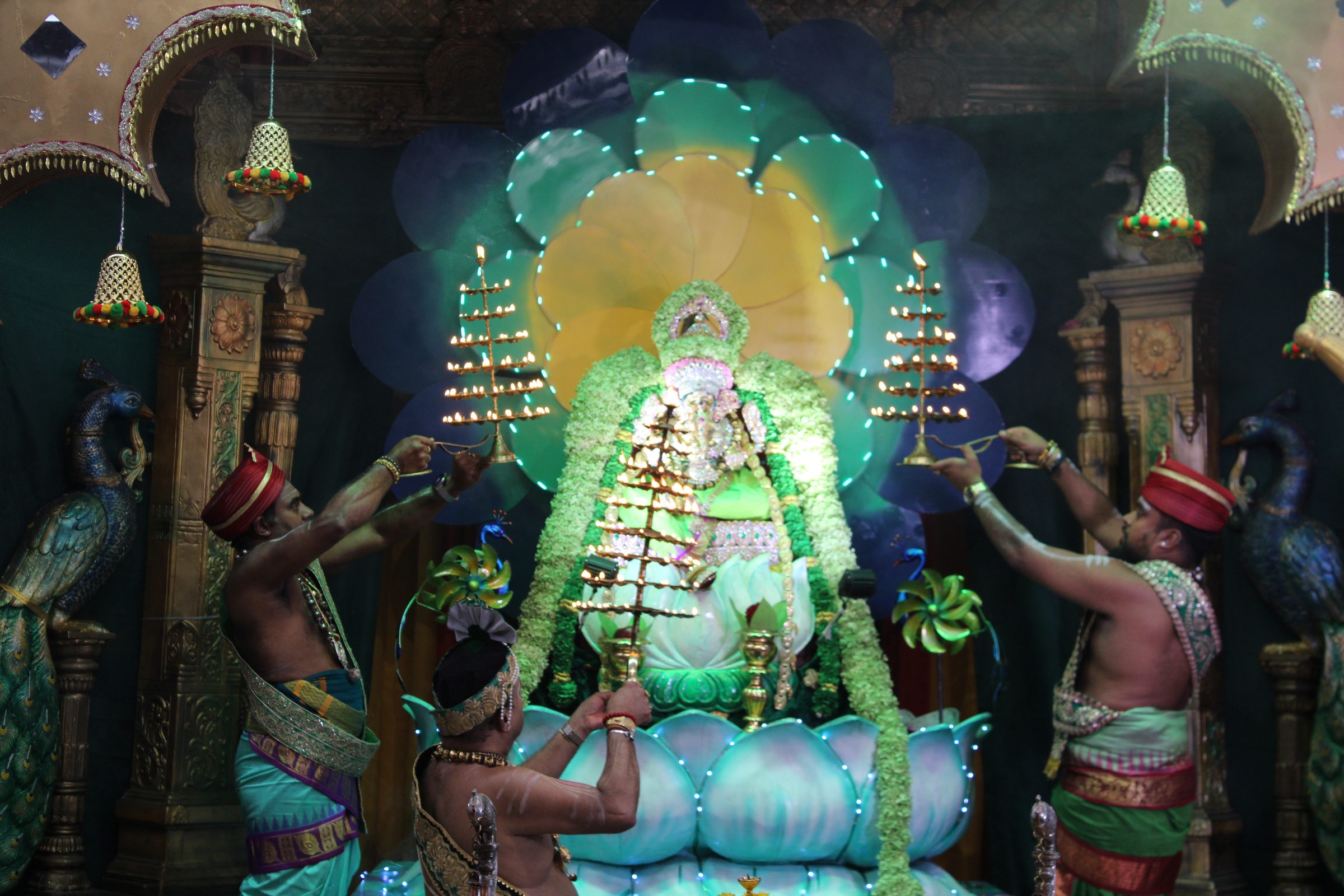 Festival 2024 photo