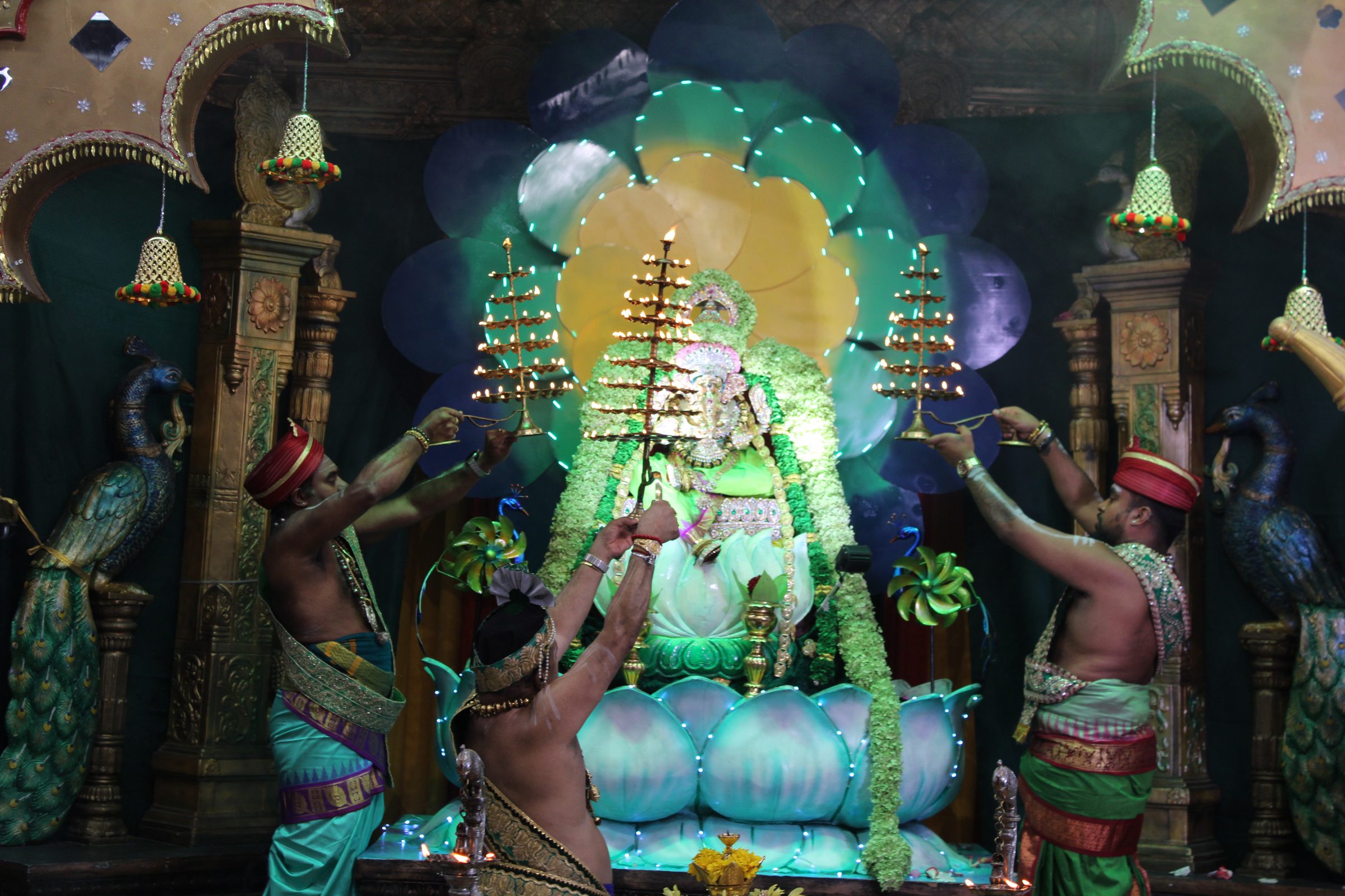 Festival 2024 photo