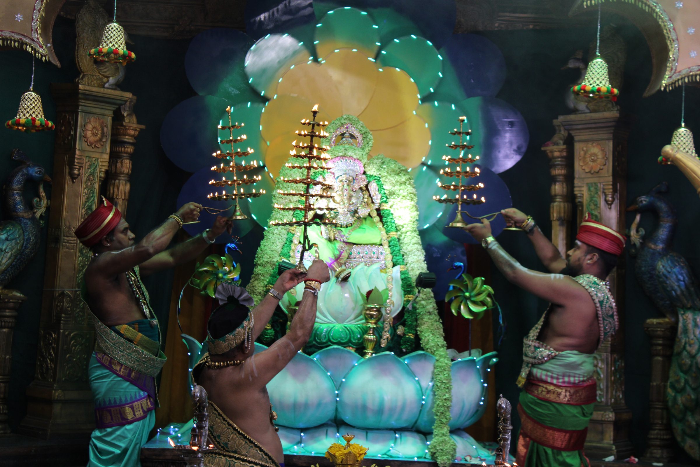 Festival 2024 photo