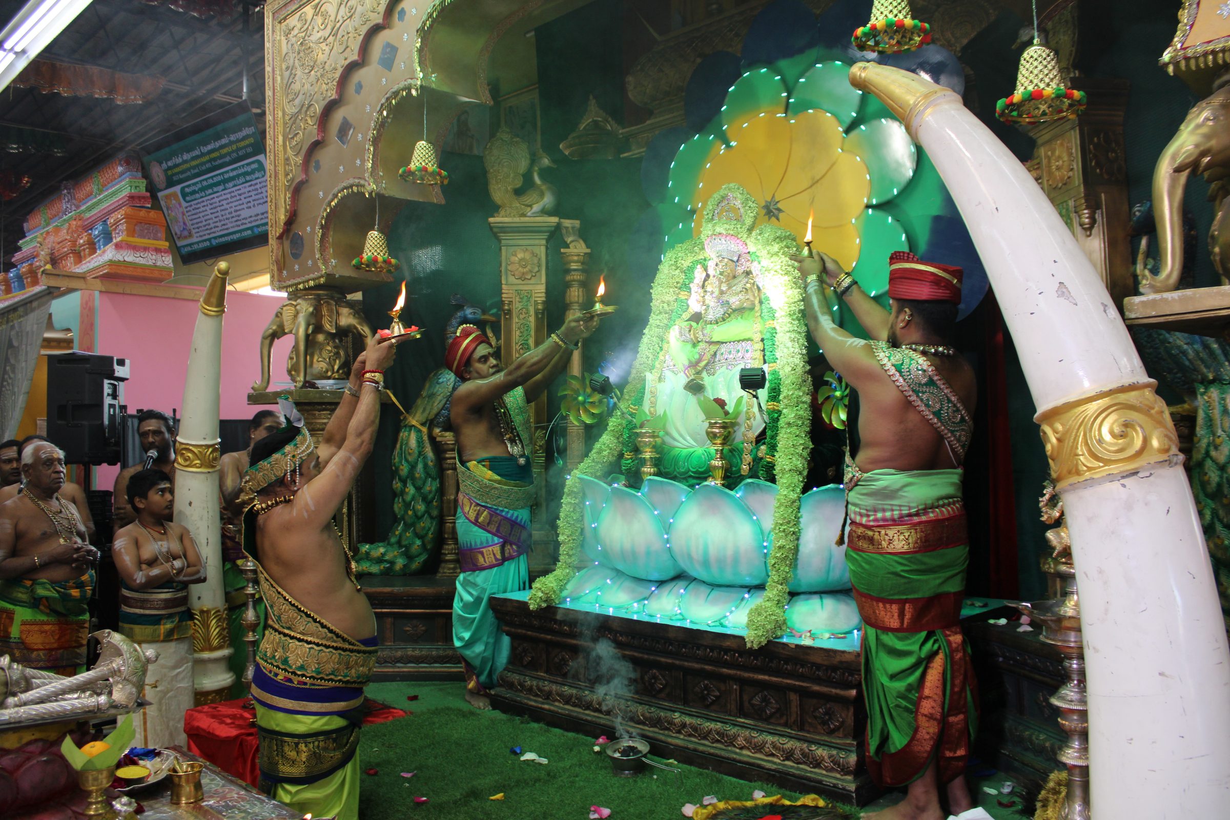 Festival 2024 photo