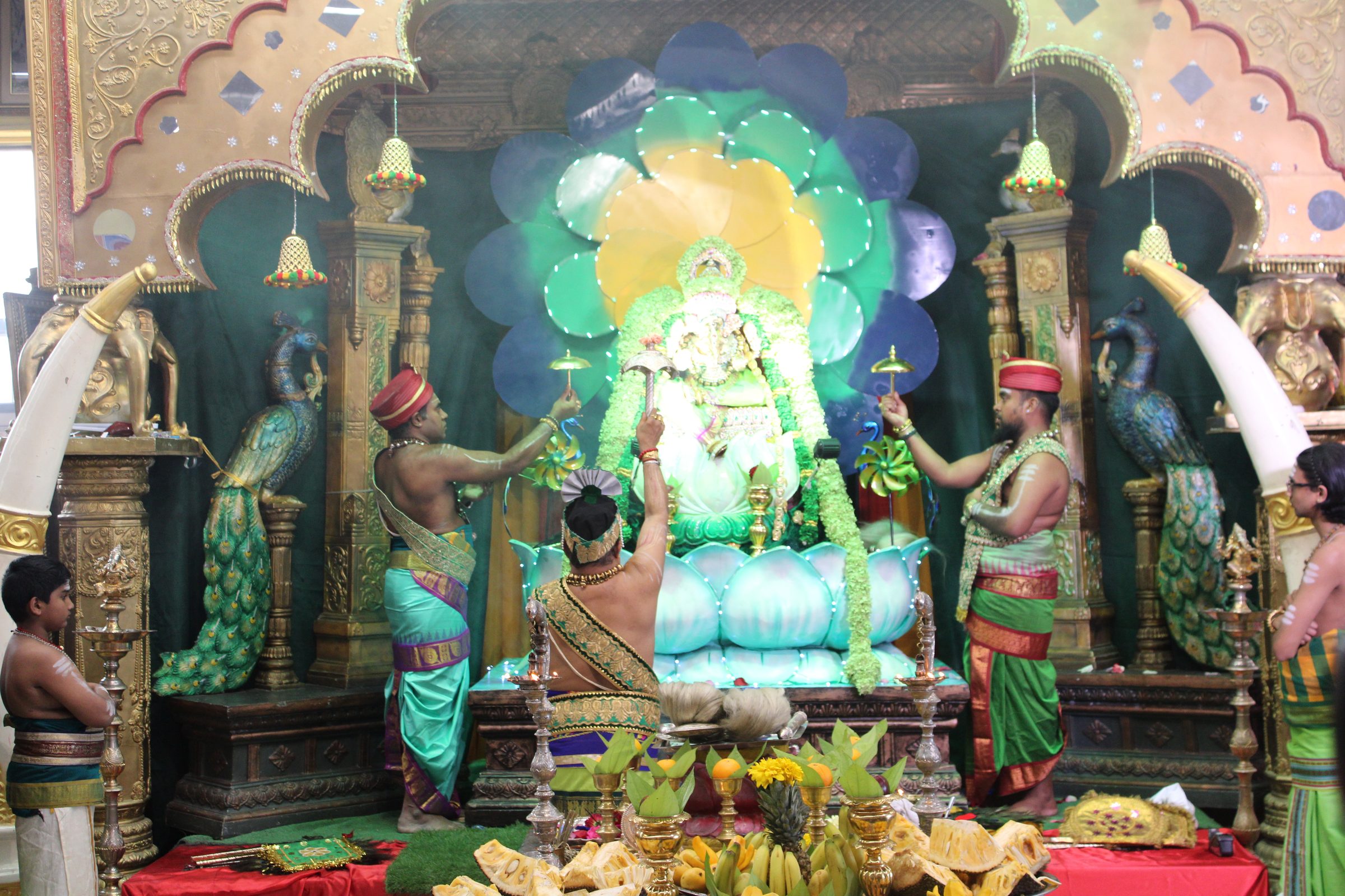 Festival 2024 photo