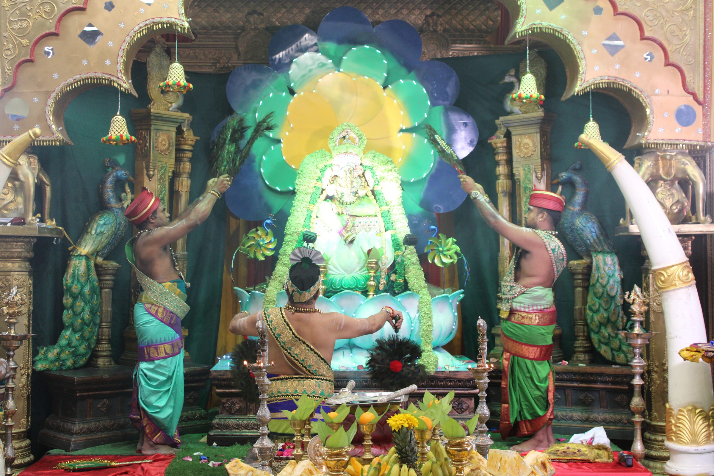 Festival 2024 photo