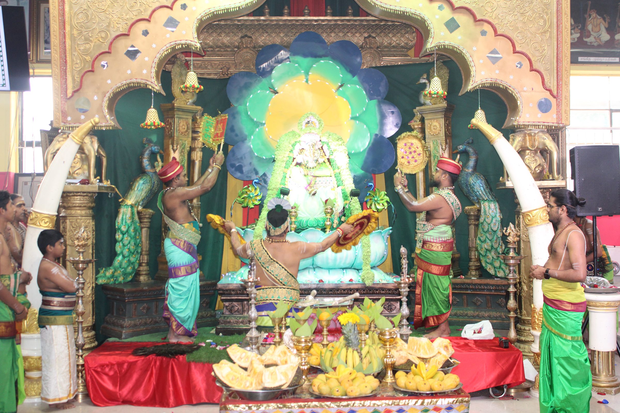 Festival 2024 photo