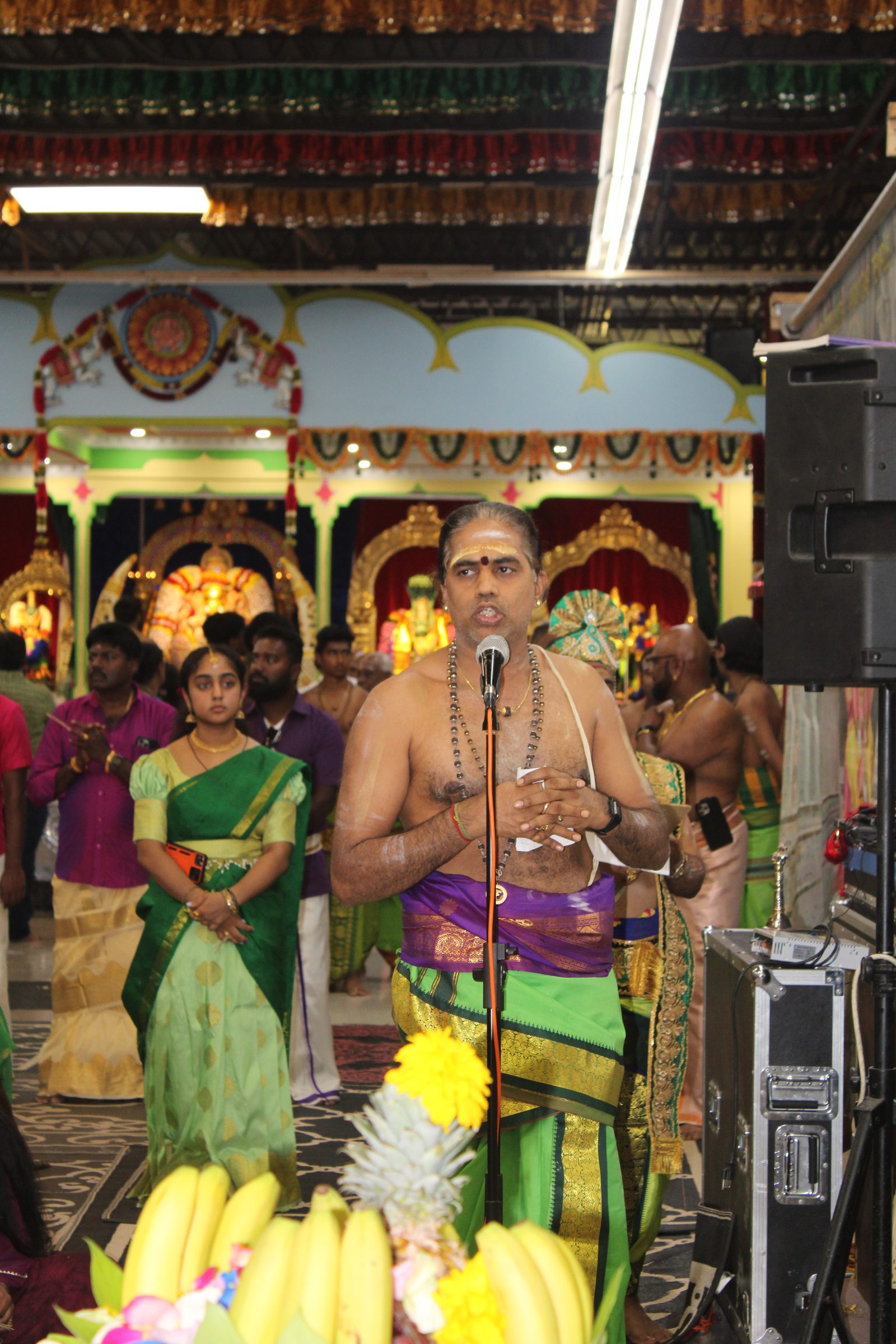 Festival 2024 photo