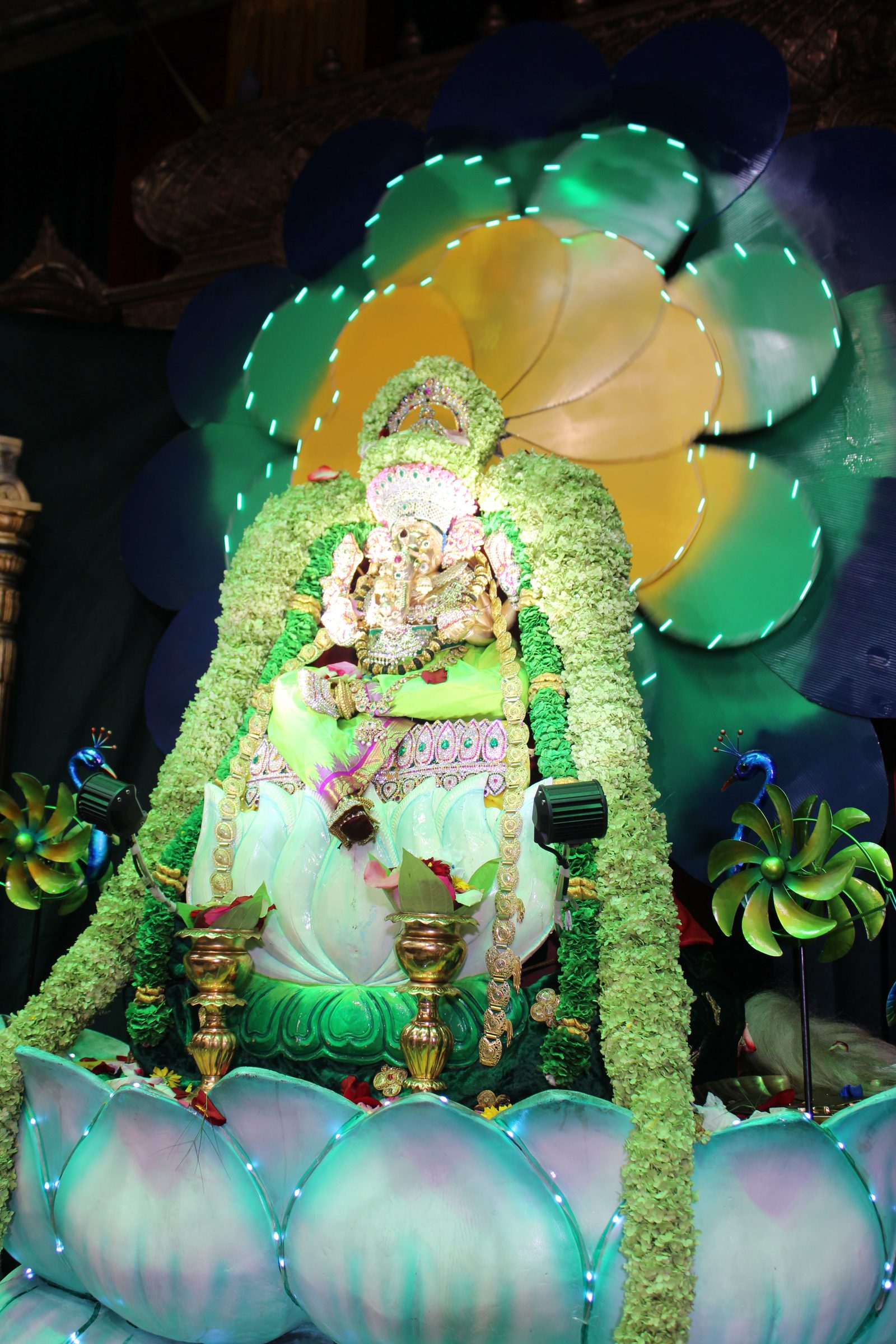 Festival 2024 photo