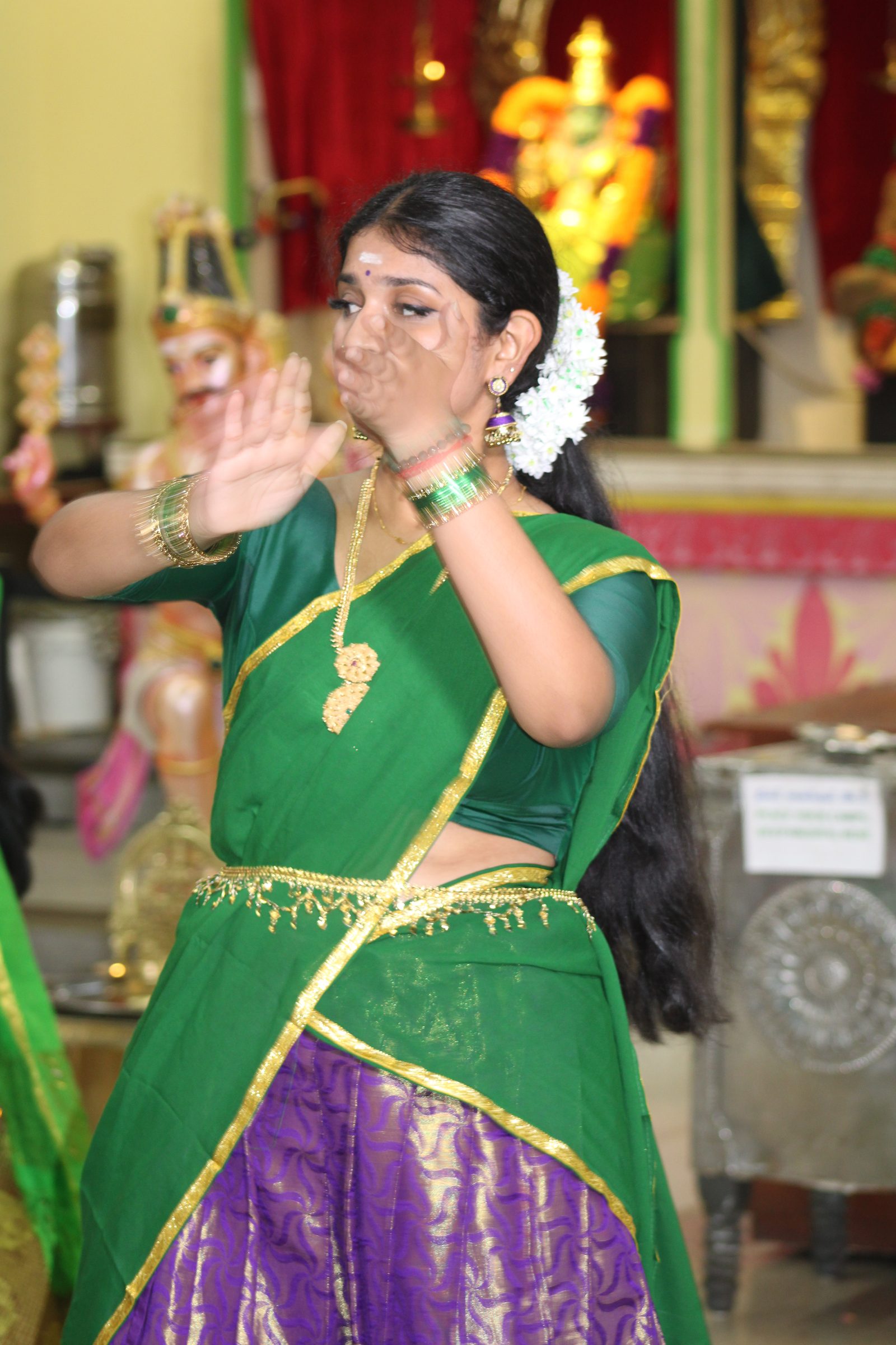 Festival 2024 photo