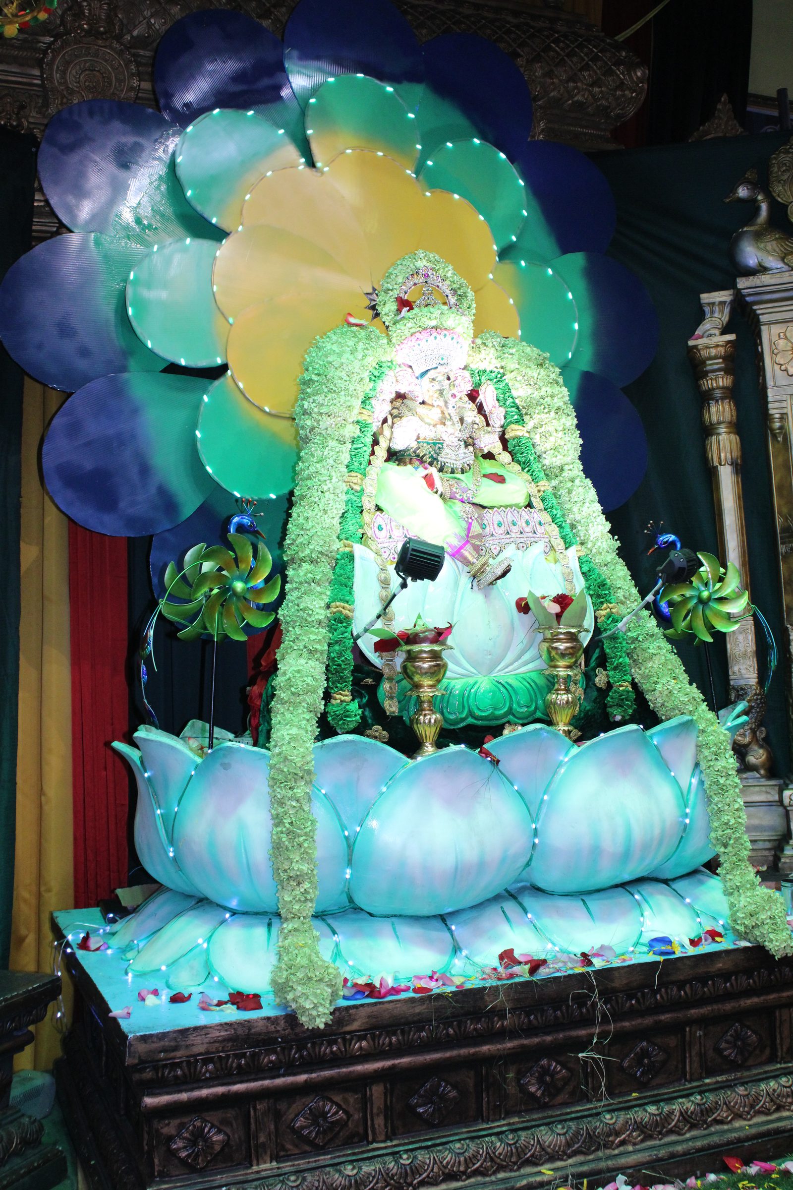 Festival 2024 photo