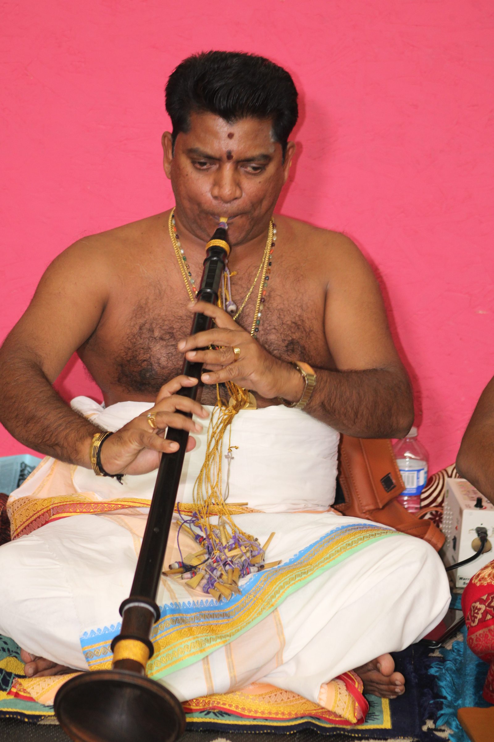 Festival 2024 photo