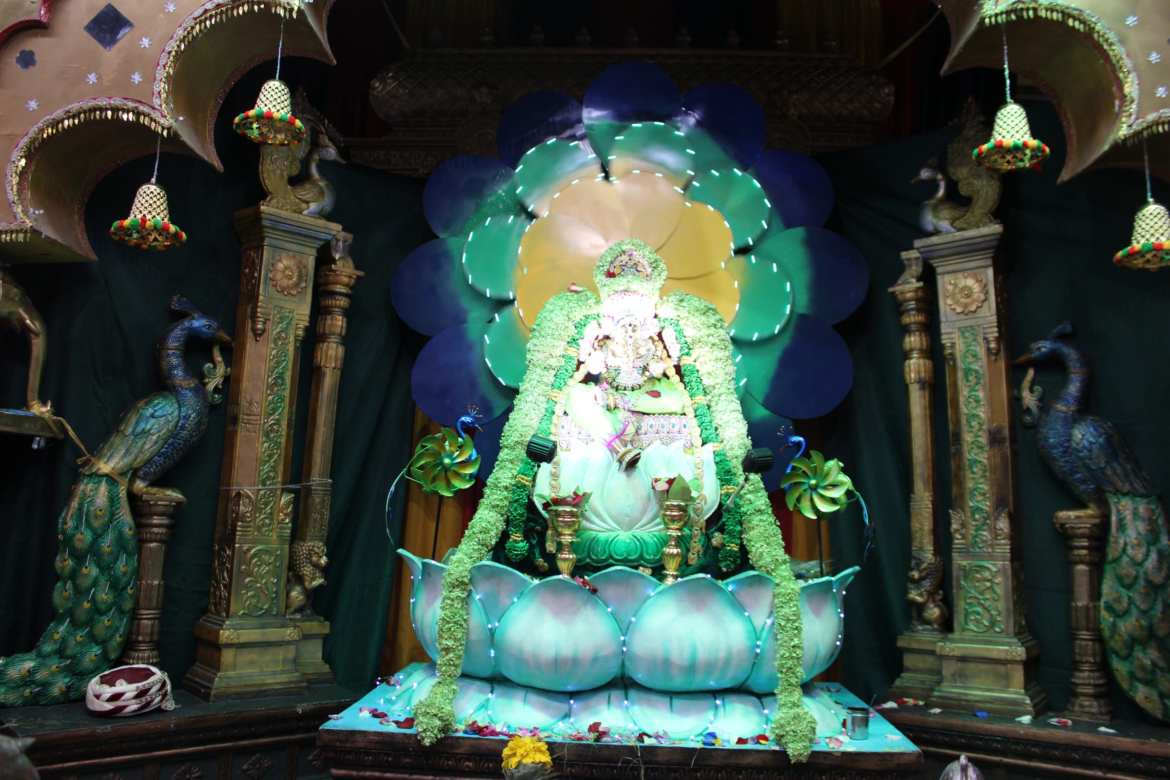 Festival 2024 photo