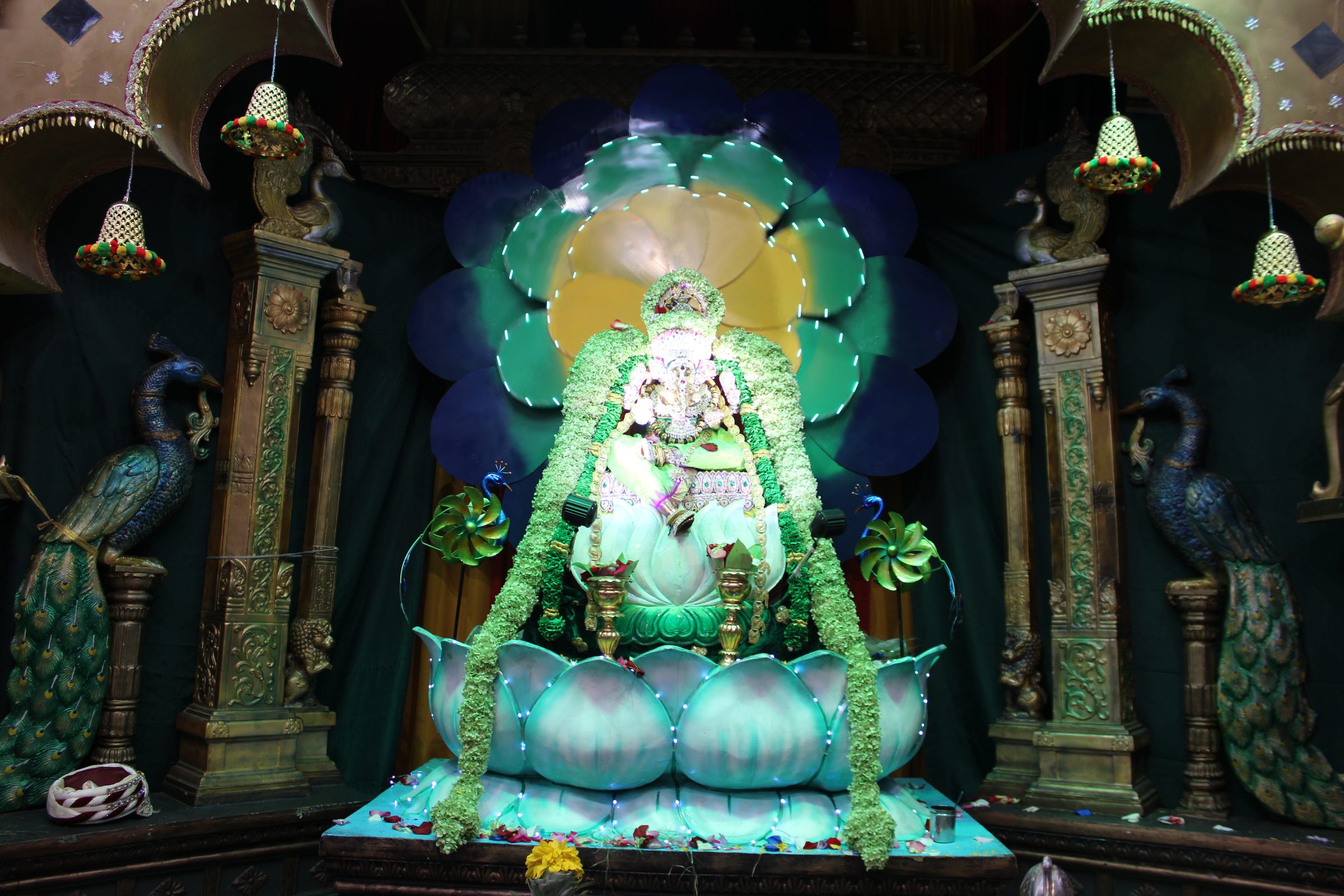 Festival 2024 photo