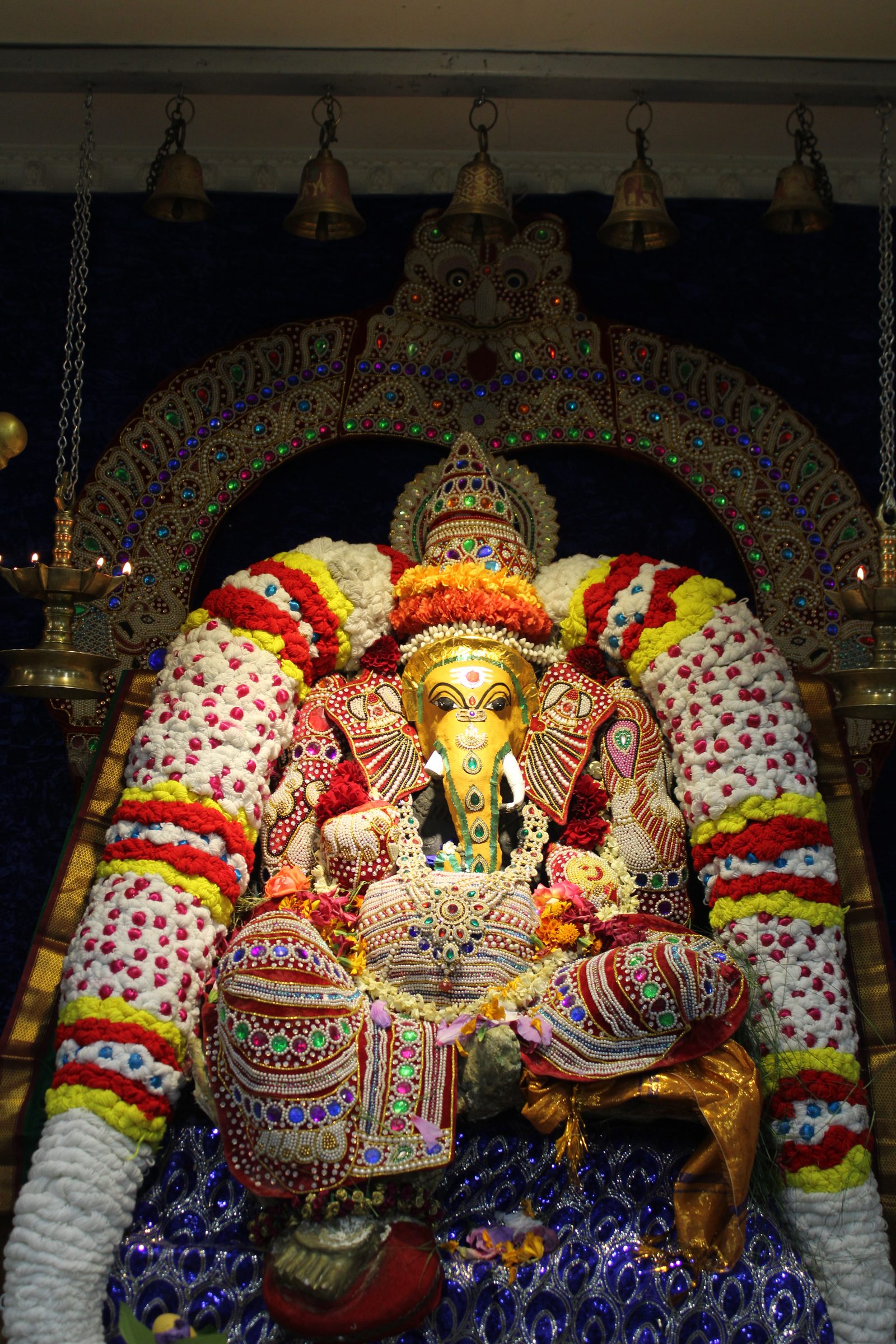Festival 2024 photo