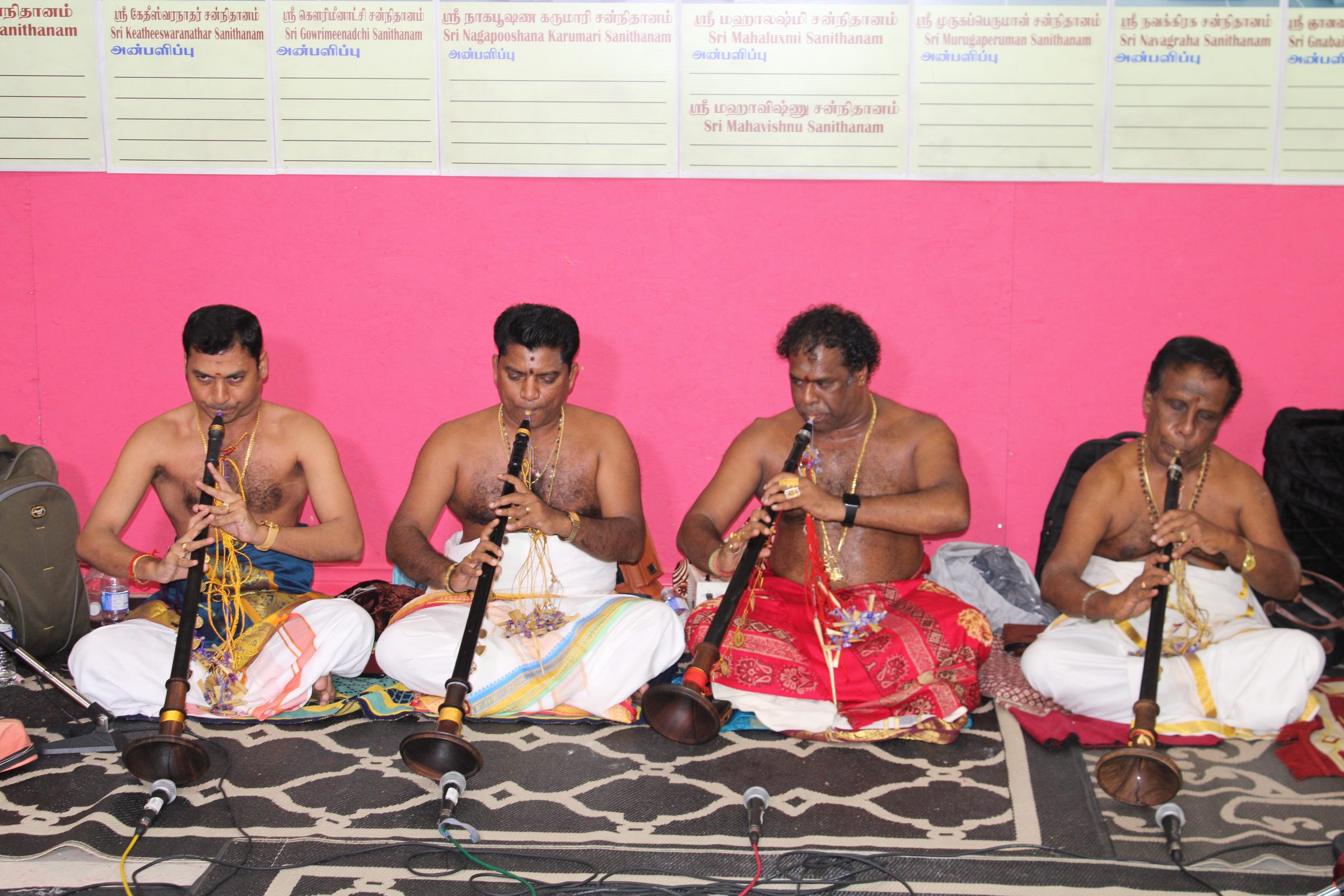 Festival 2024 photo