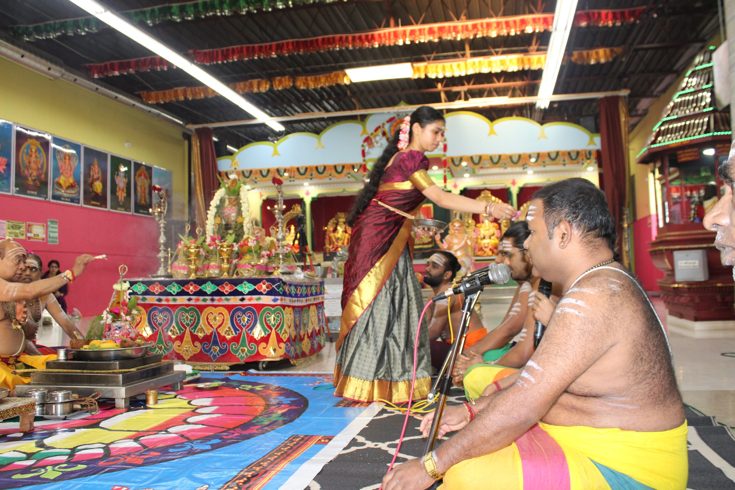 Festival 2024 photo