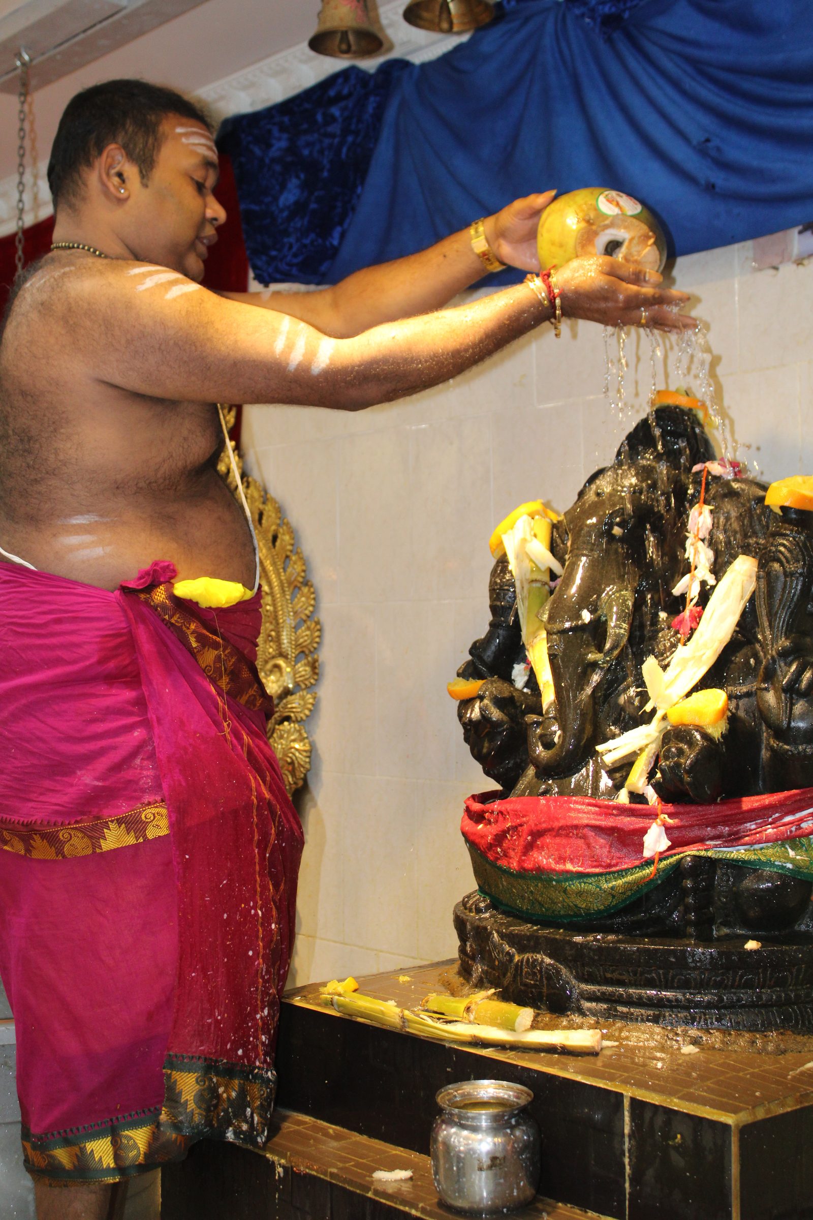 Festival 2024 photo