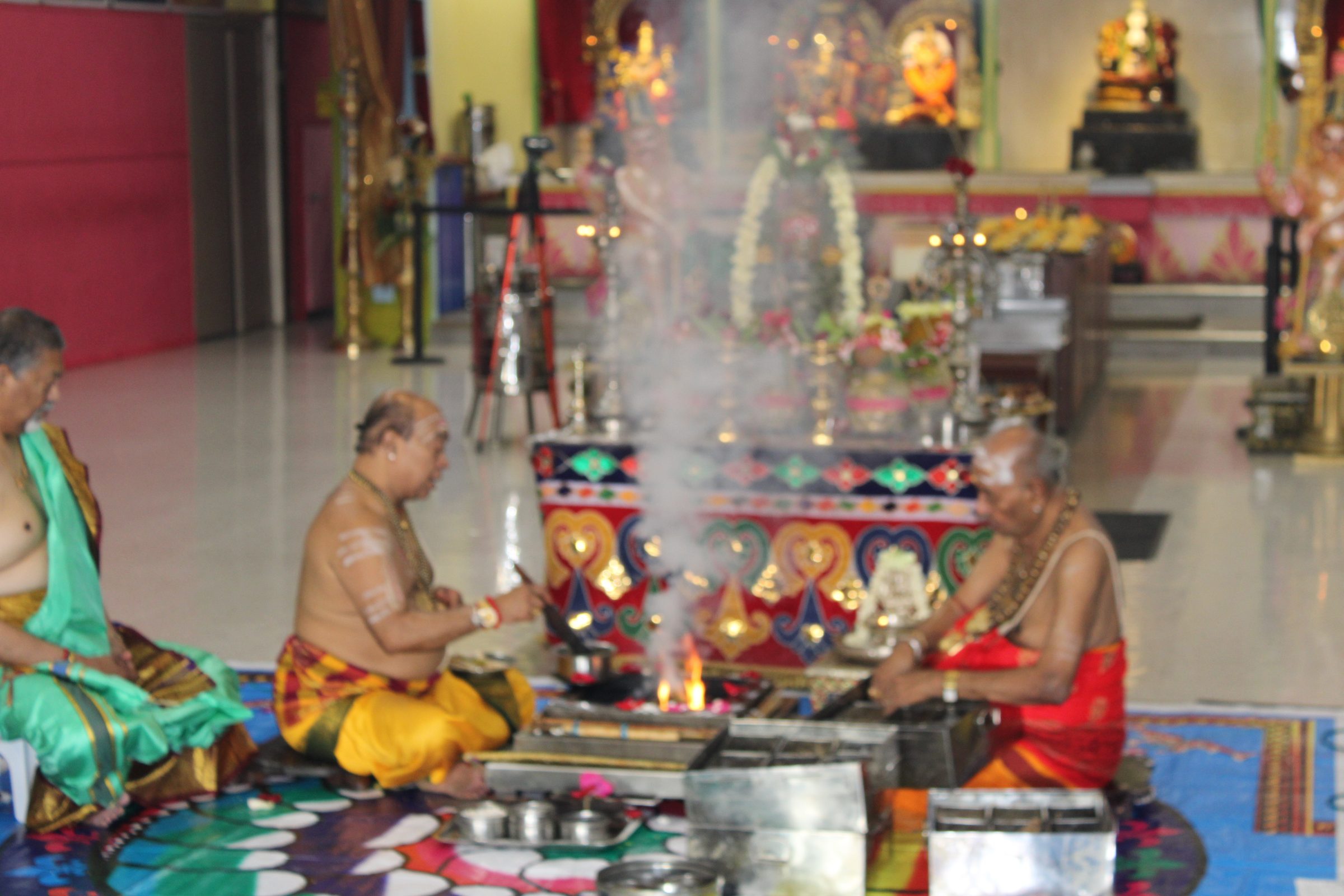 Festival 2024 photo