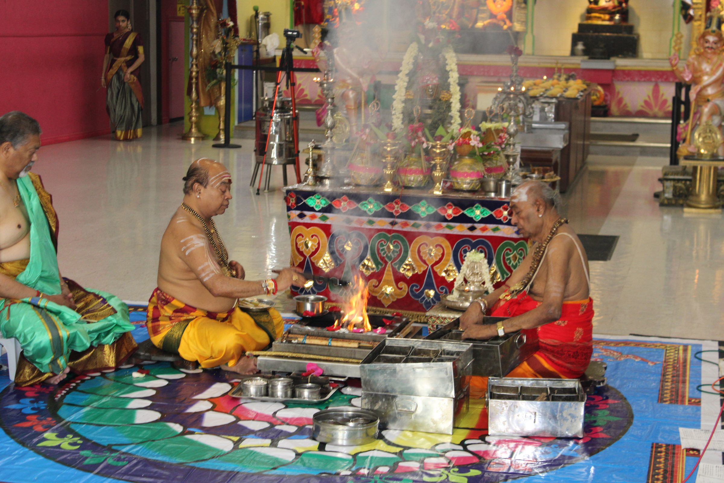 Festival 2024 photo