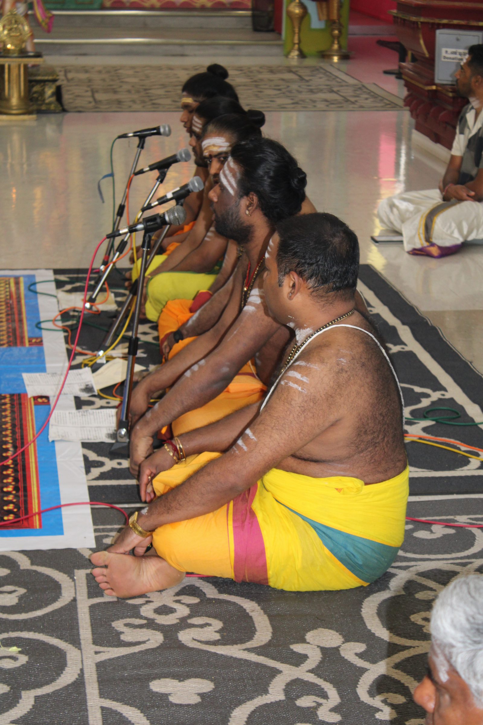Festival 2024 photo