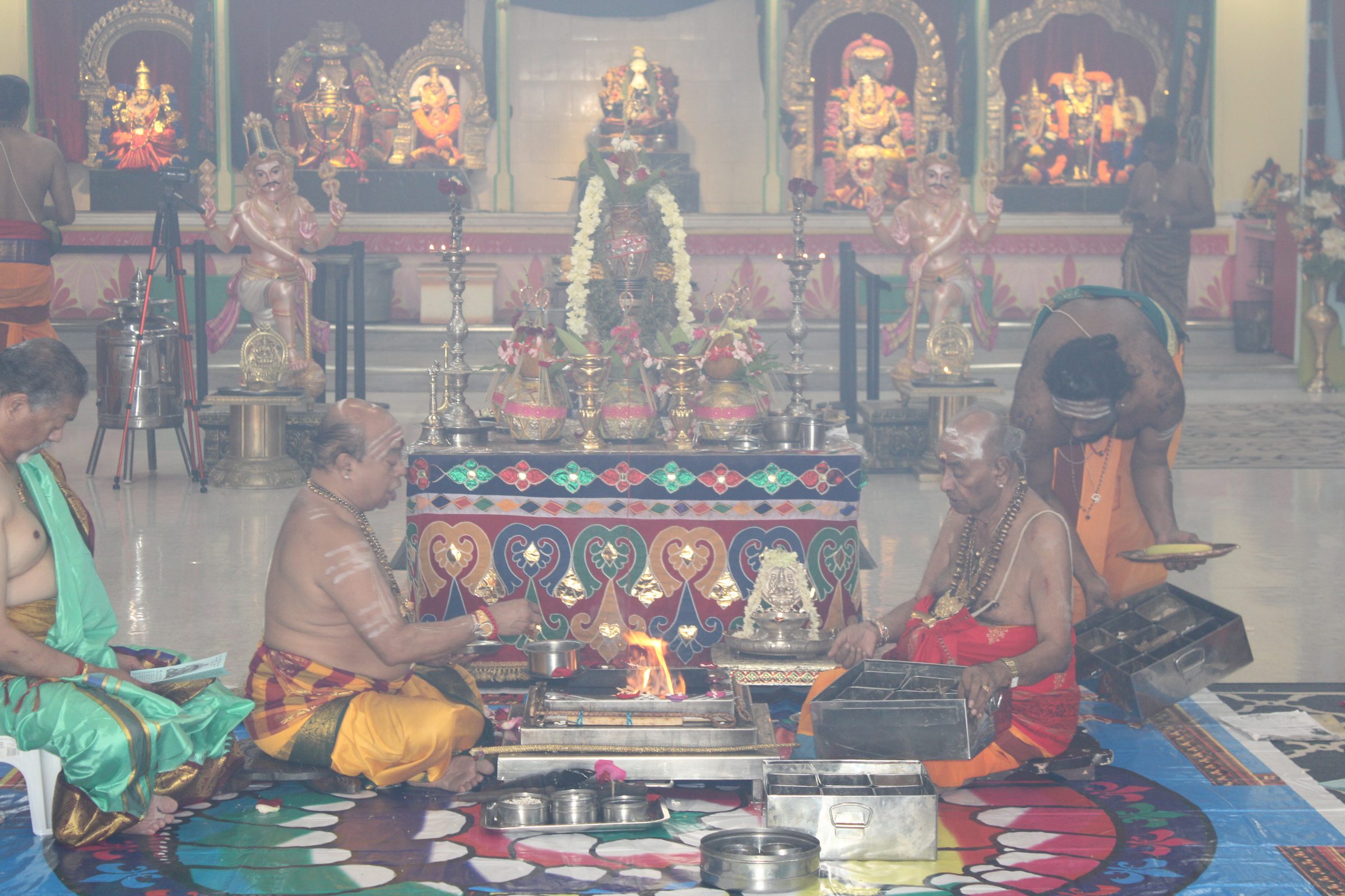 Festival 2024 photo