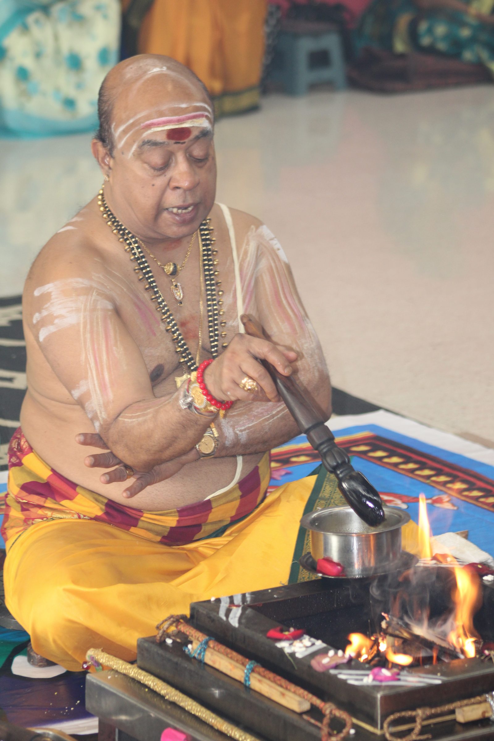 Festival 2024 photo