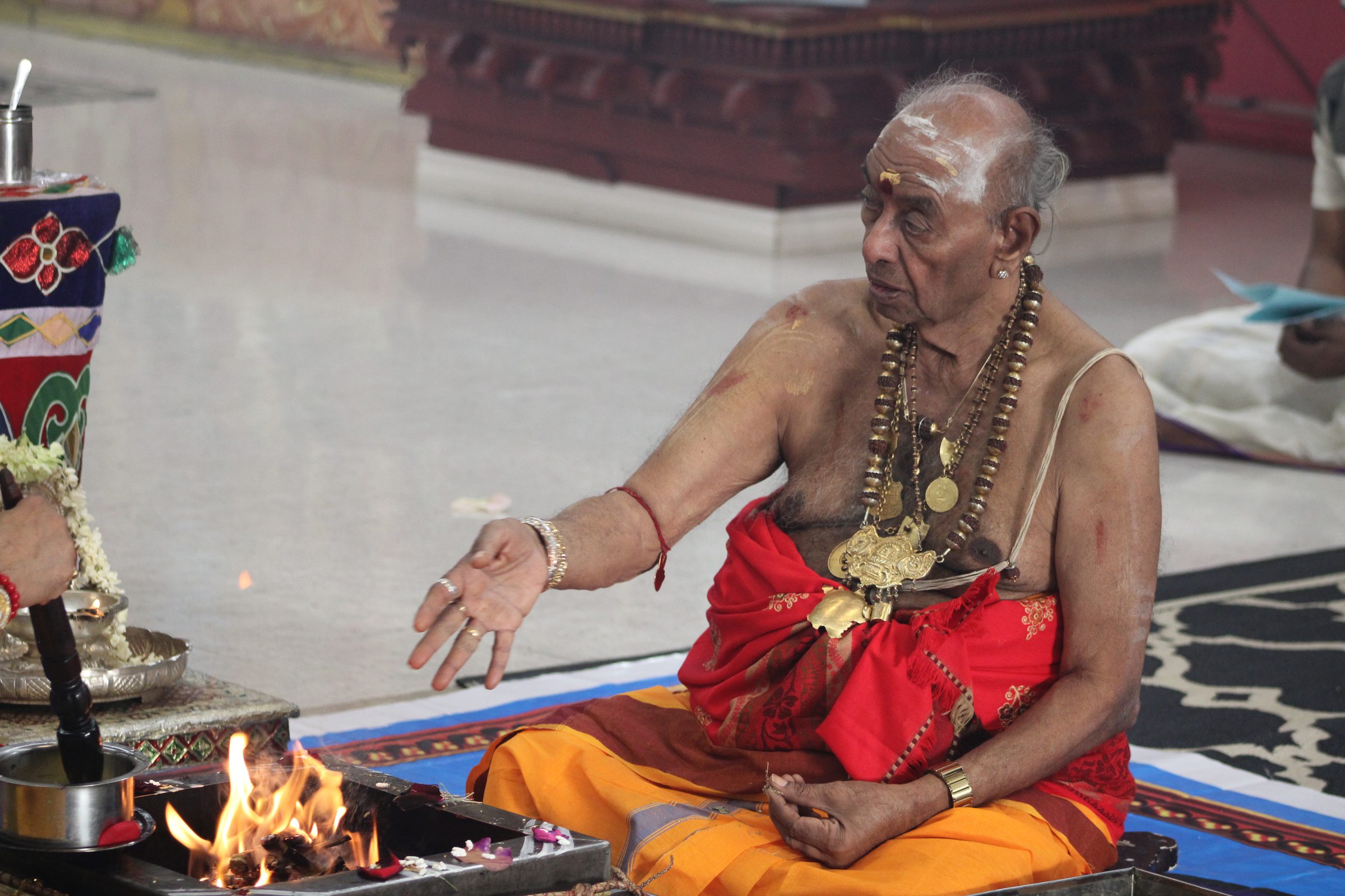 Festival 2024 photo