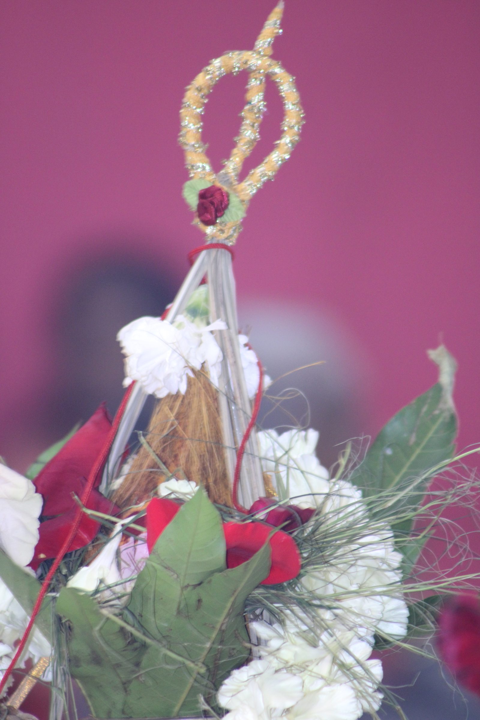 Festival 2024 photo