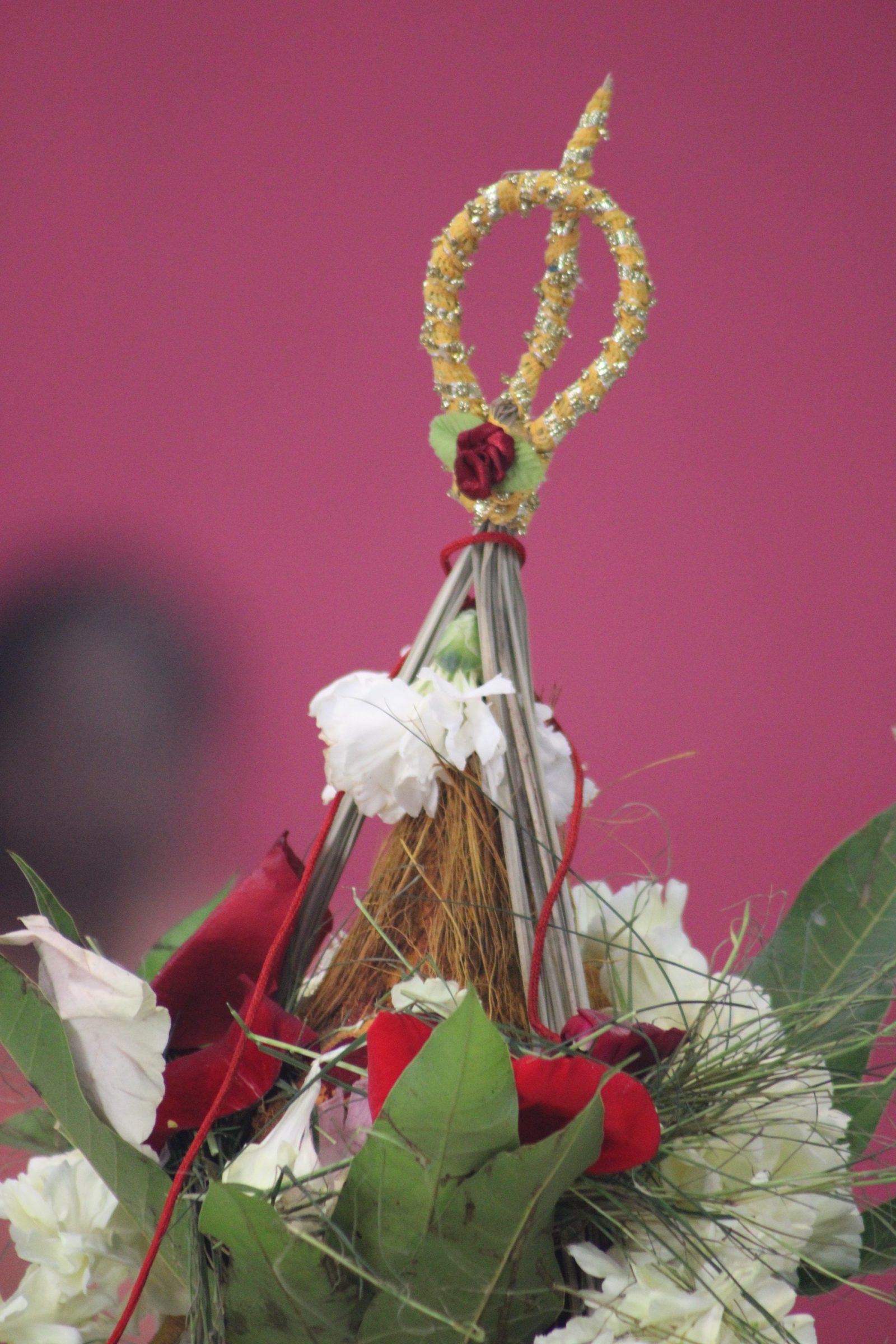 Festival 2024 photo