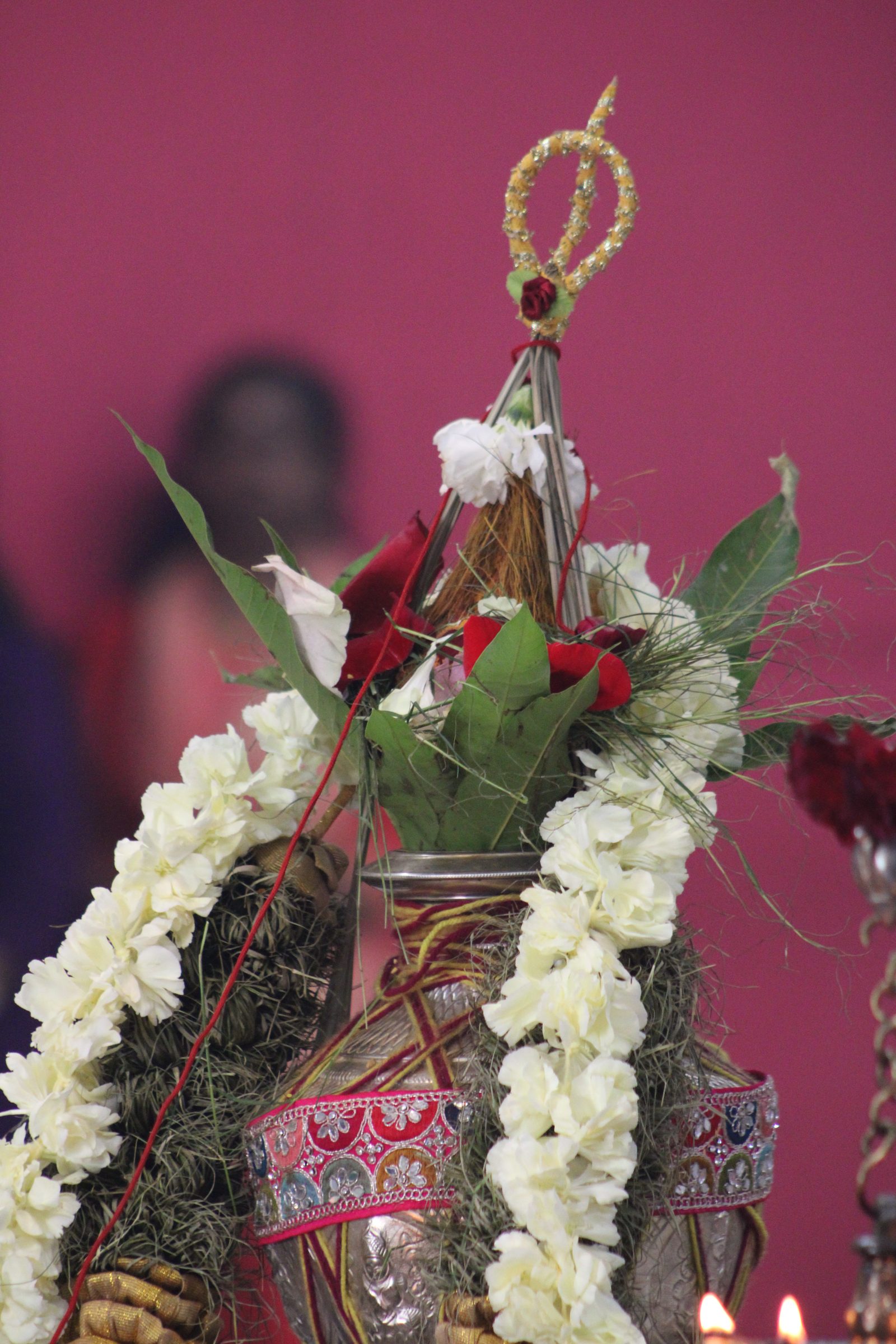 Festival 2024 photo