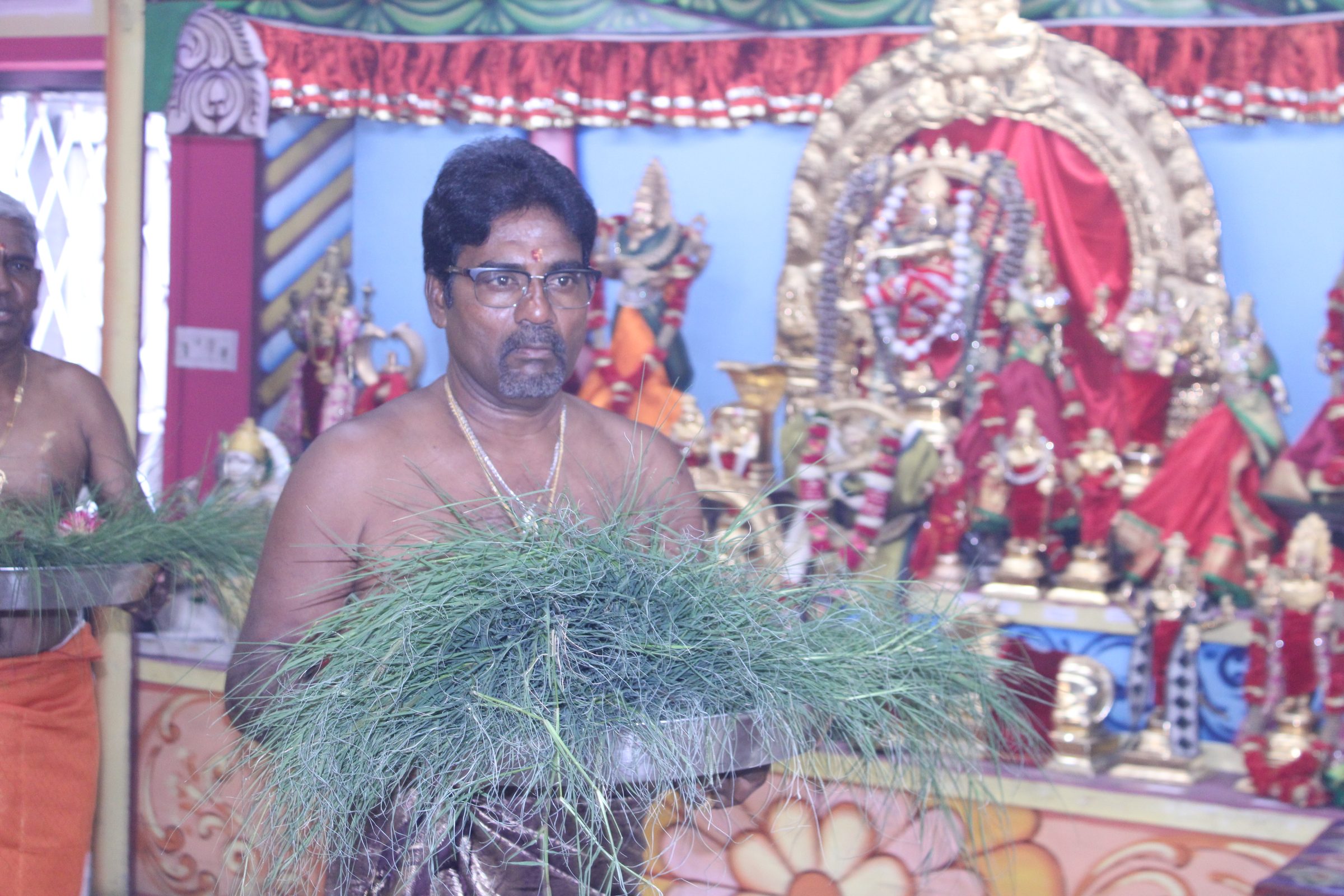 Festival 2024 photo