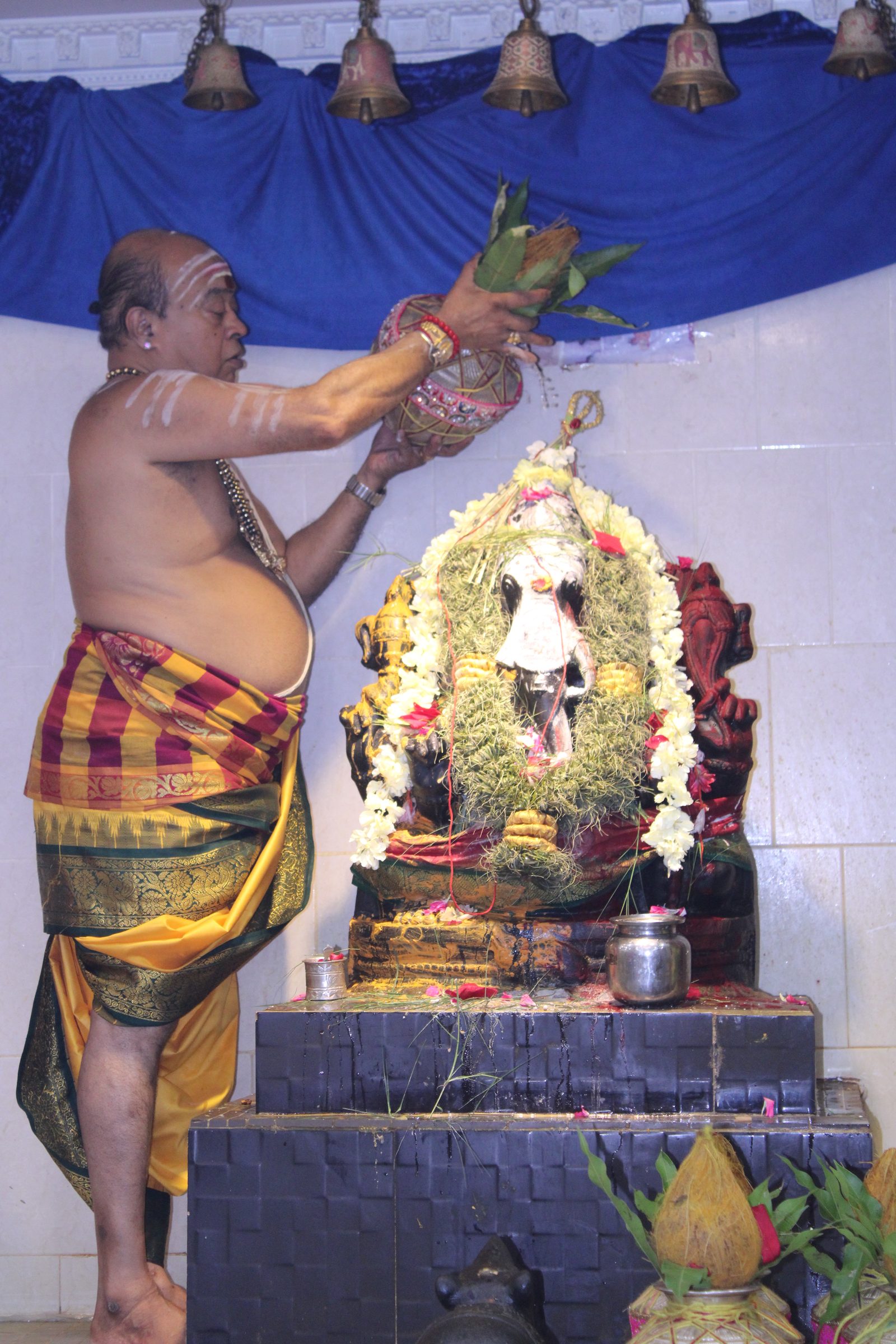 Festival 2024 photo