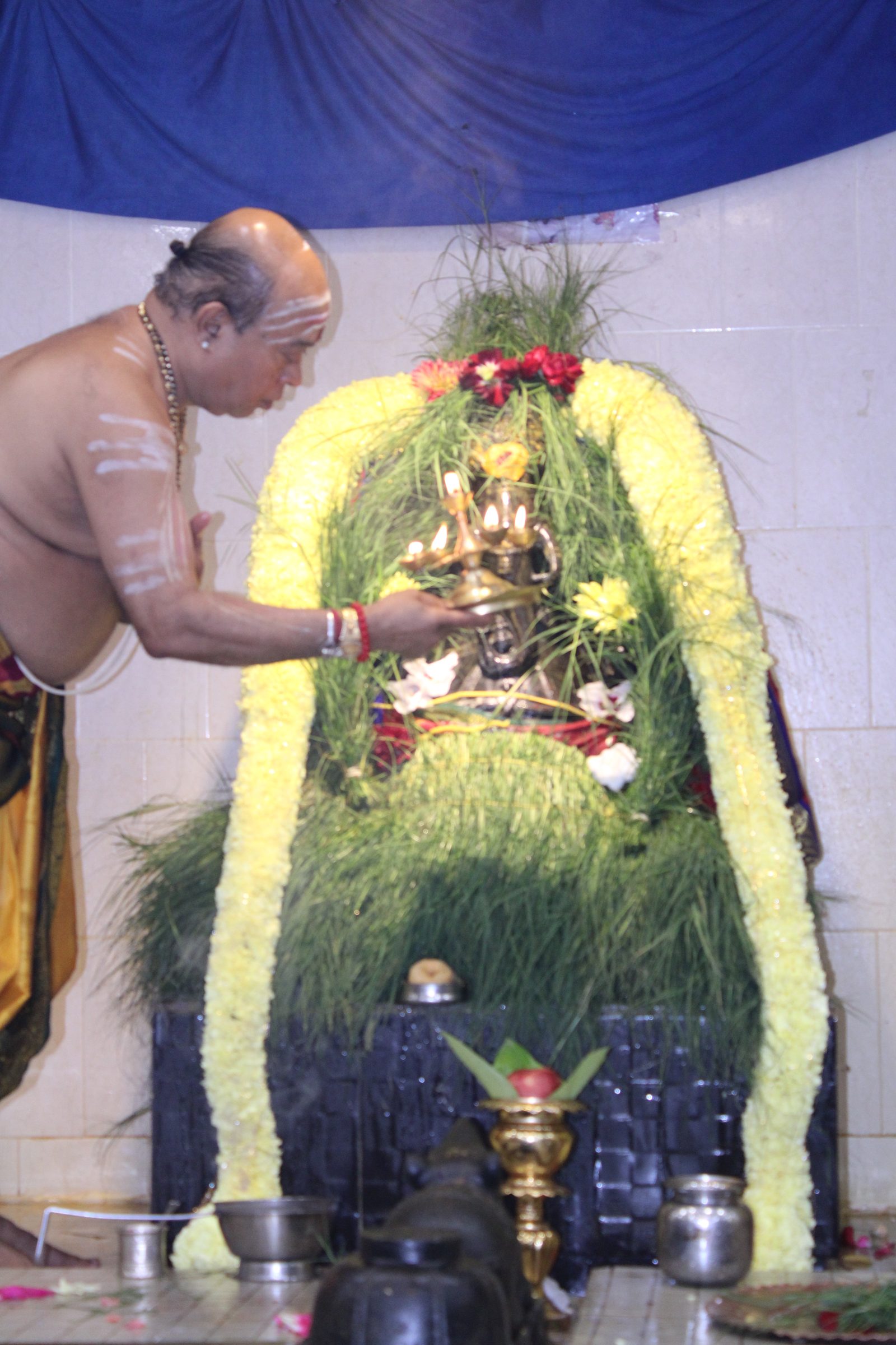 Festival 2024 photo