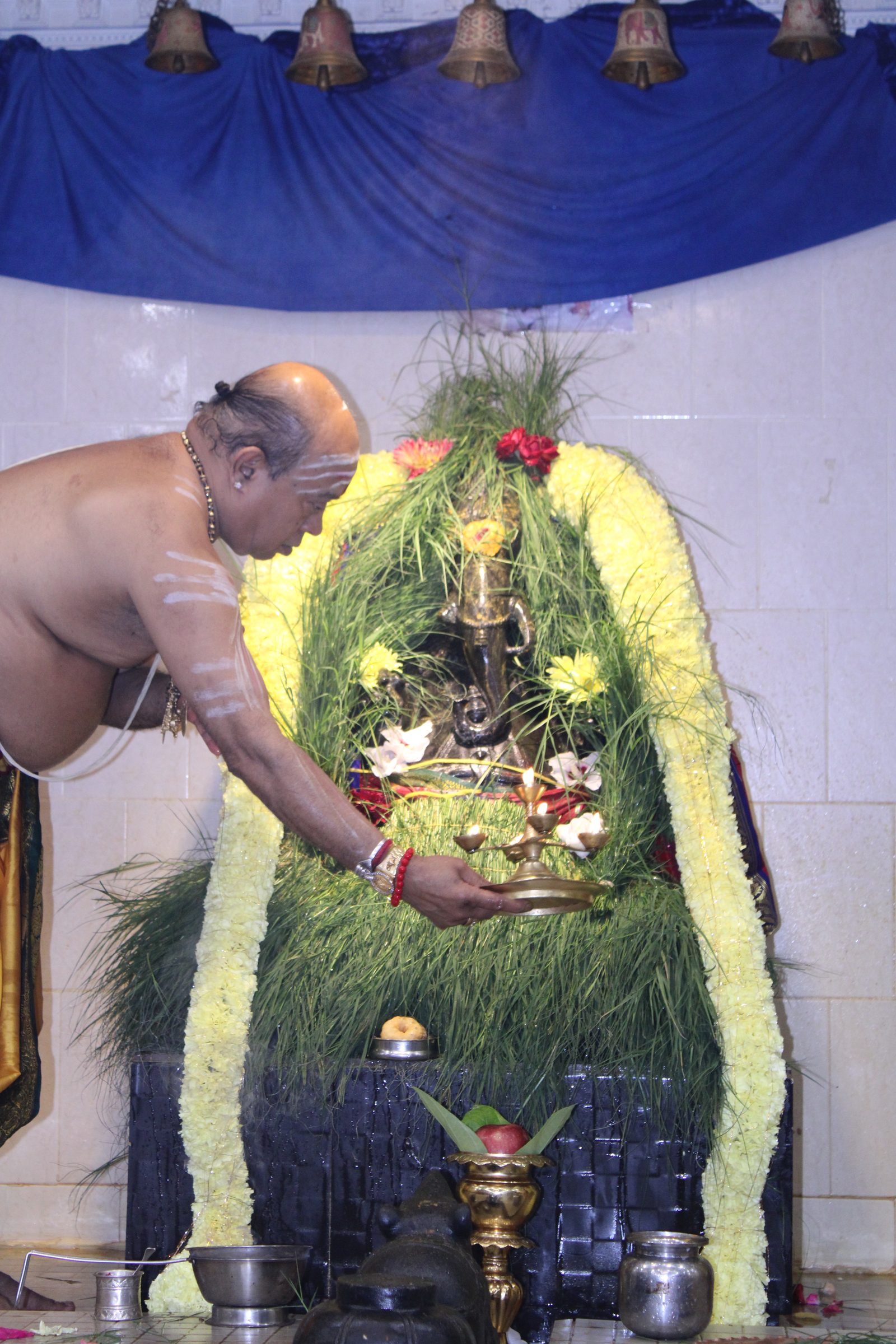 Festival 2024 photo