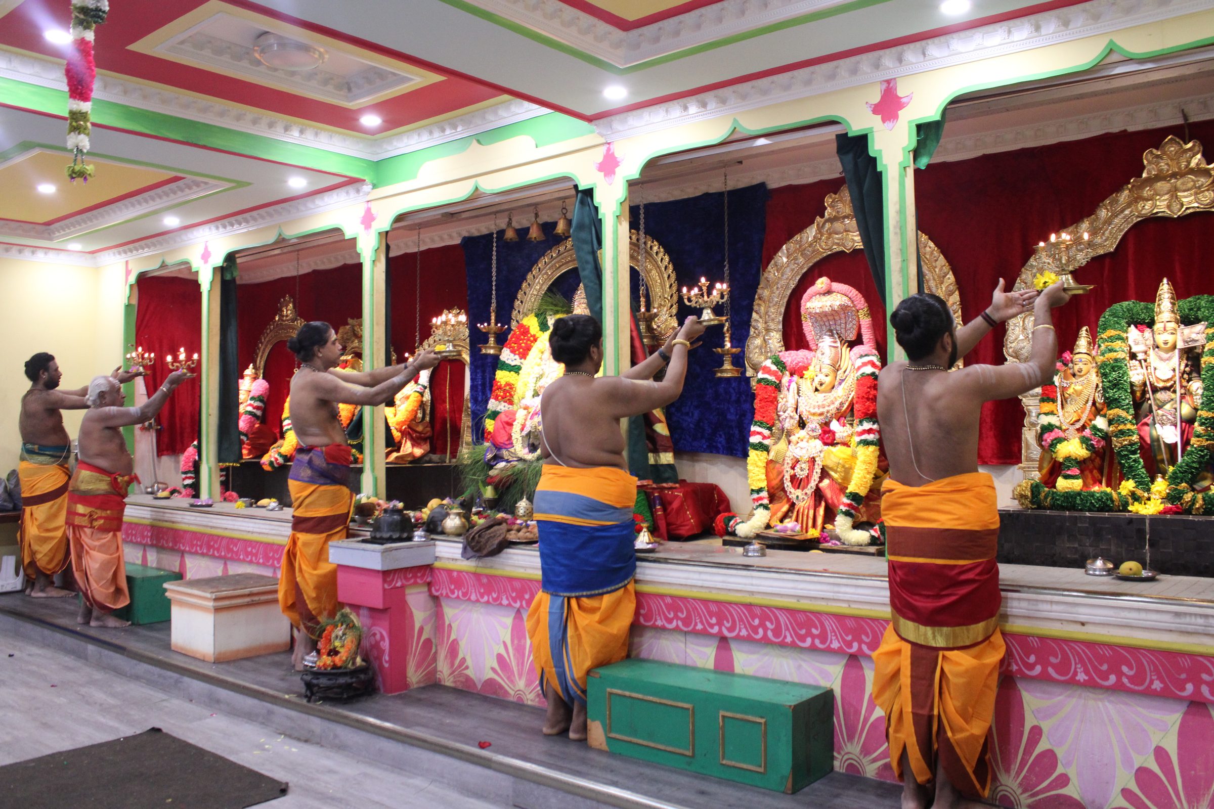 Festival 2024 photo
