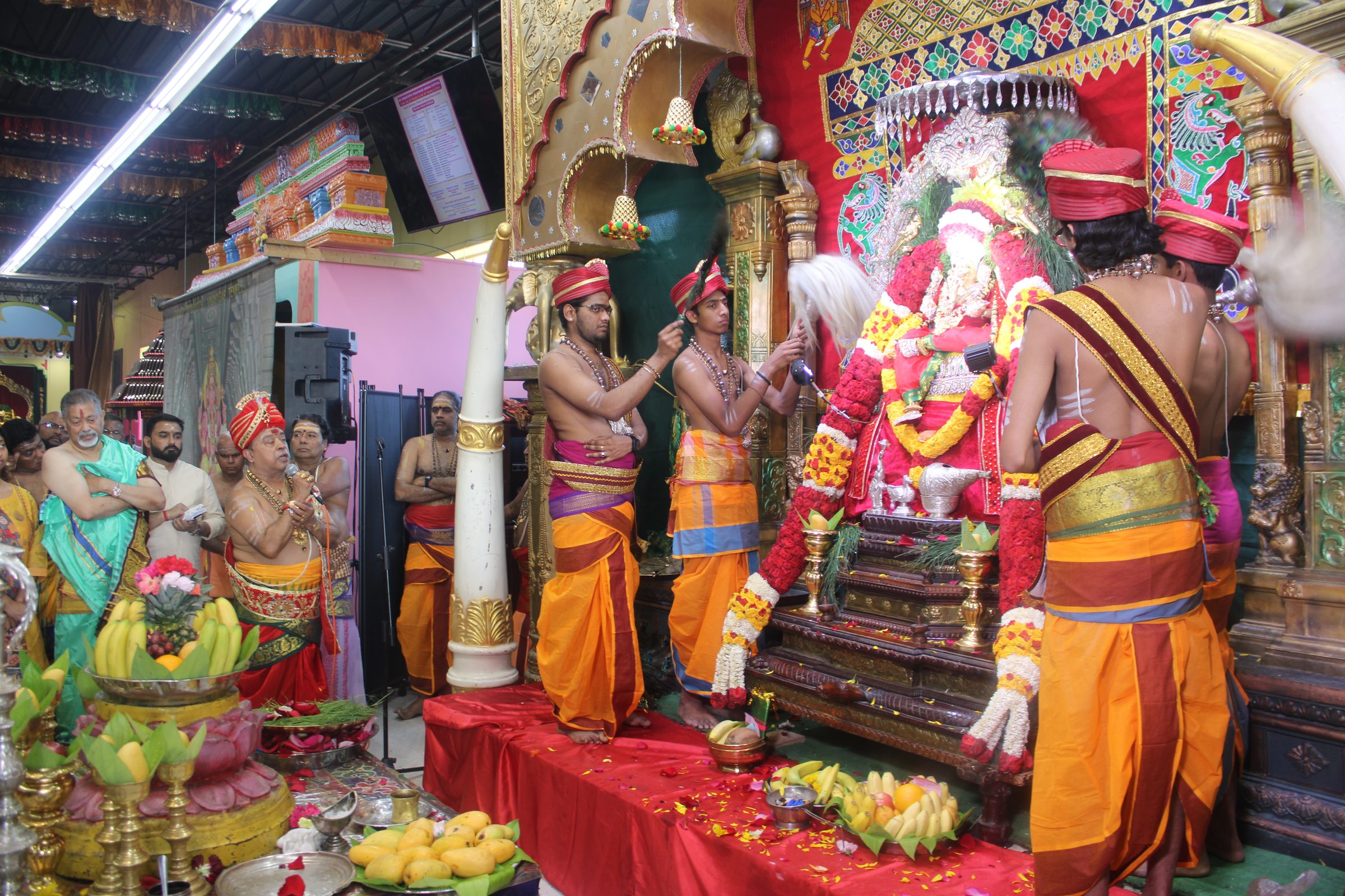 Festival 2024 photo