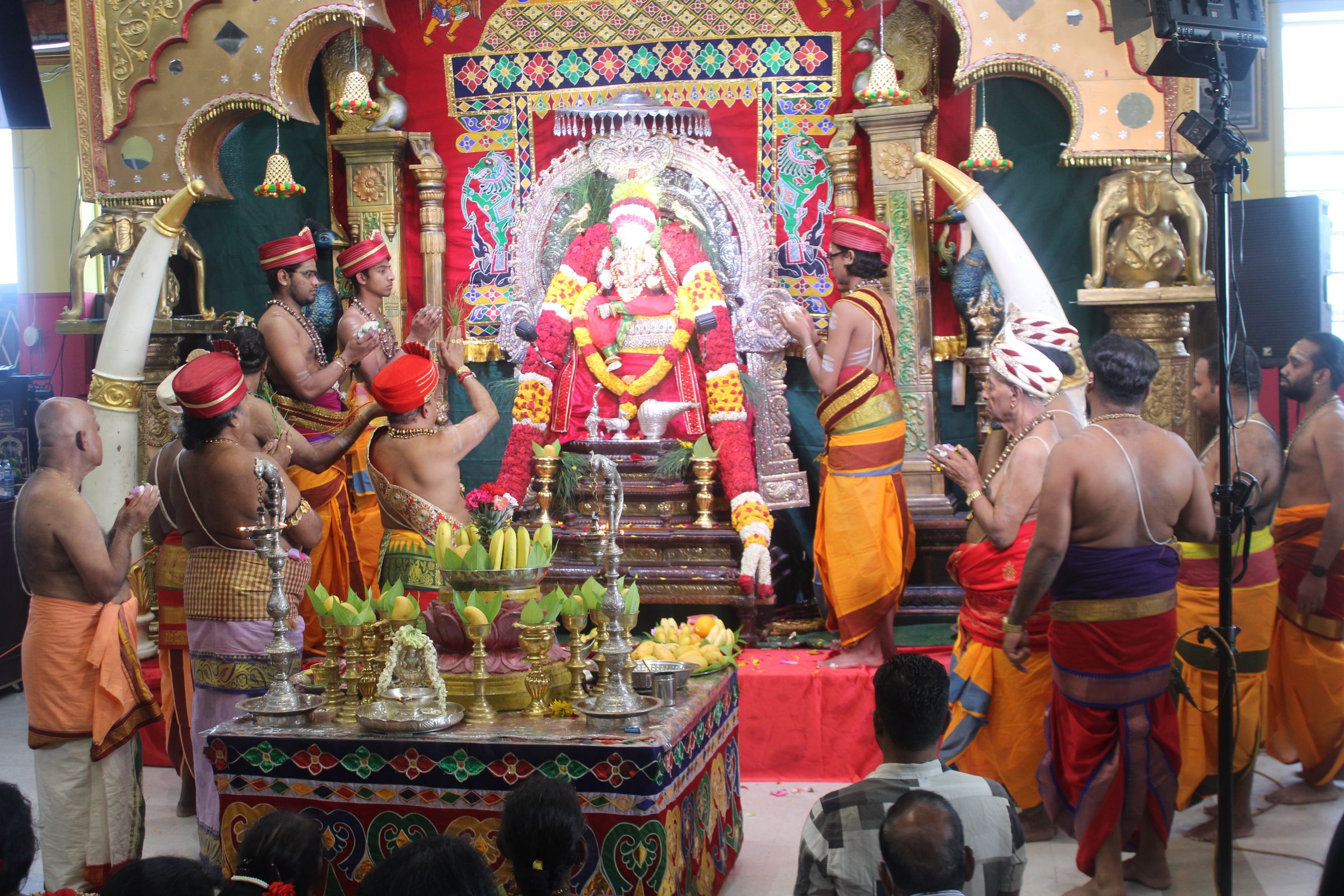 Festival 2024 photo
