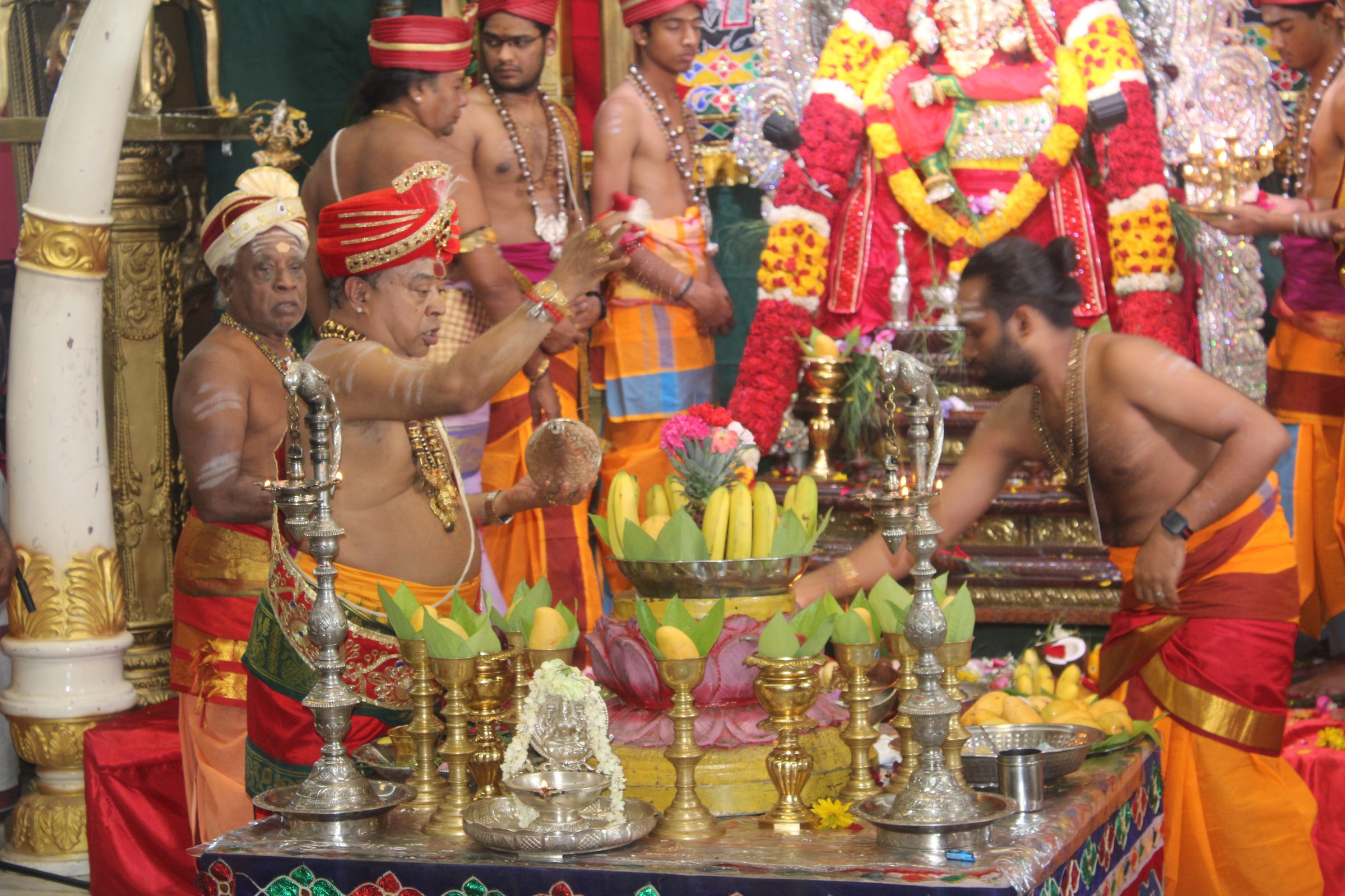 Festival 2024 photo