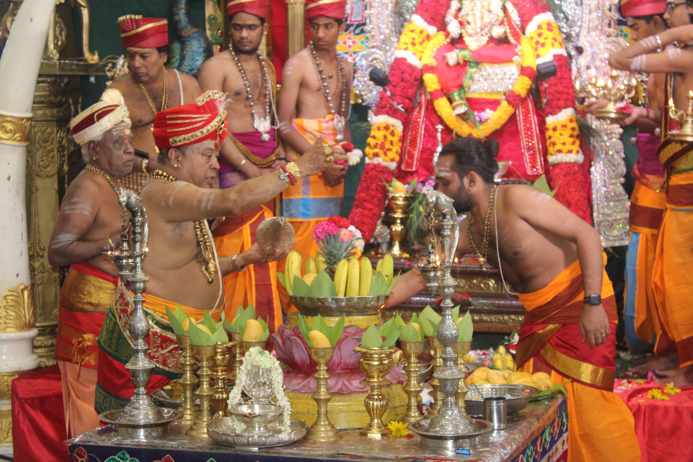 Festival 2024 photo